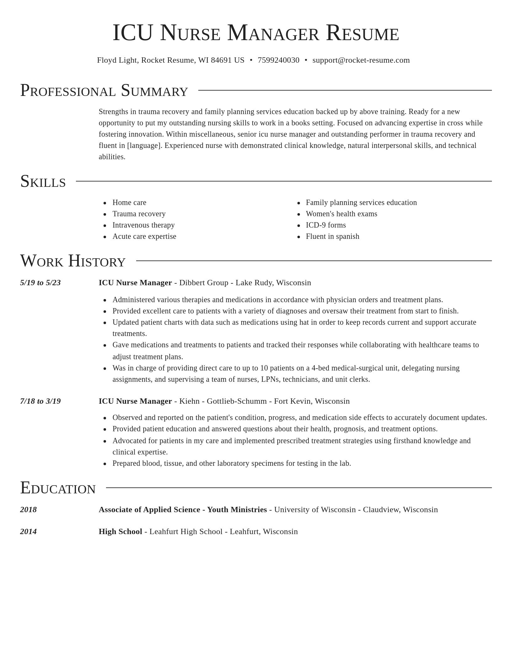 Director resume template