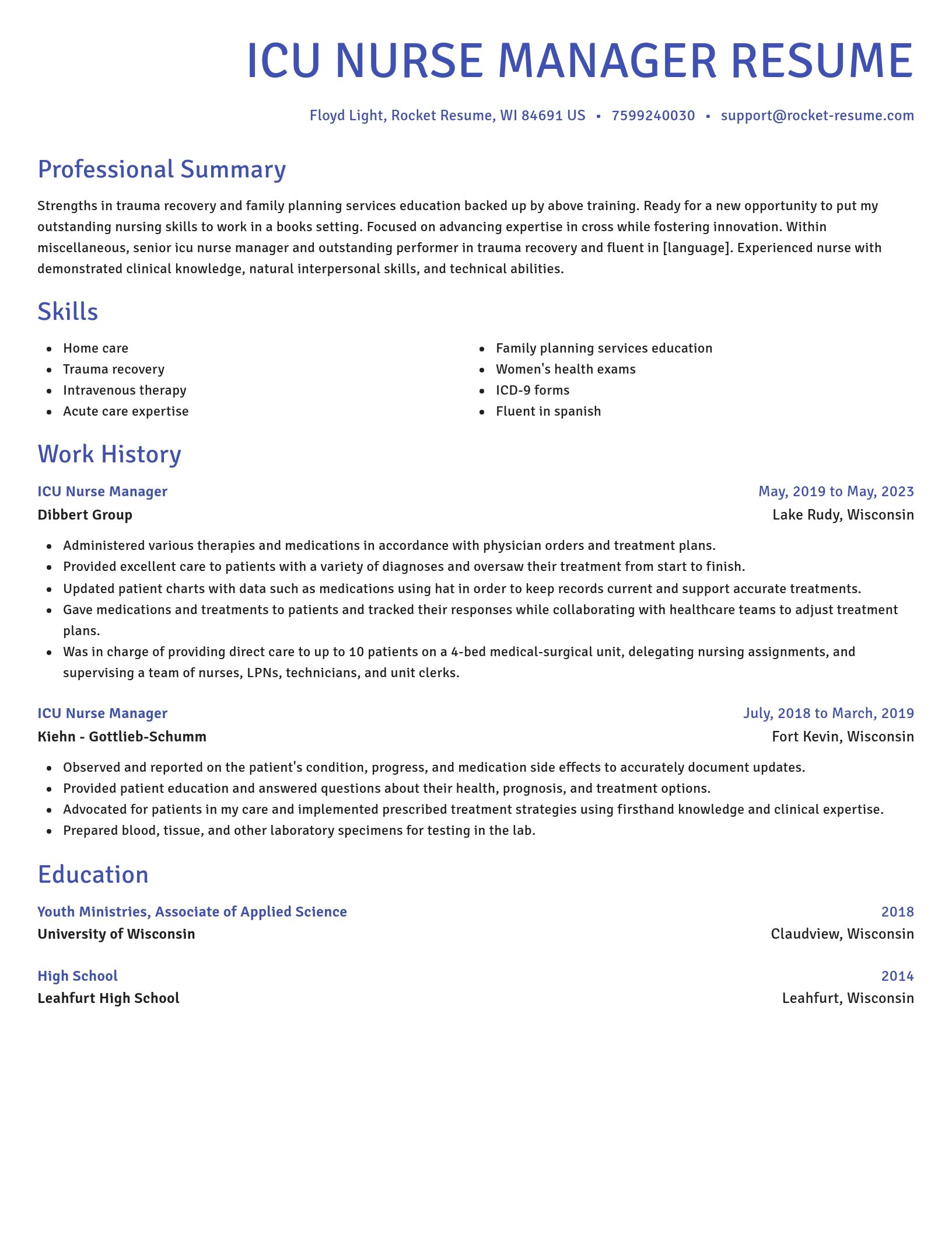 Novel resume template