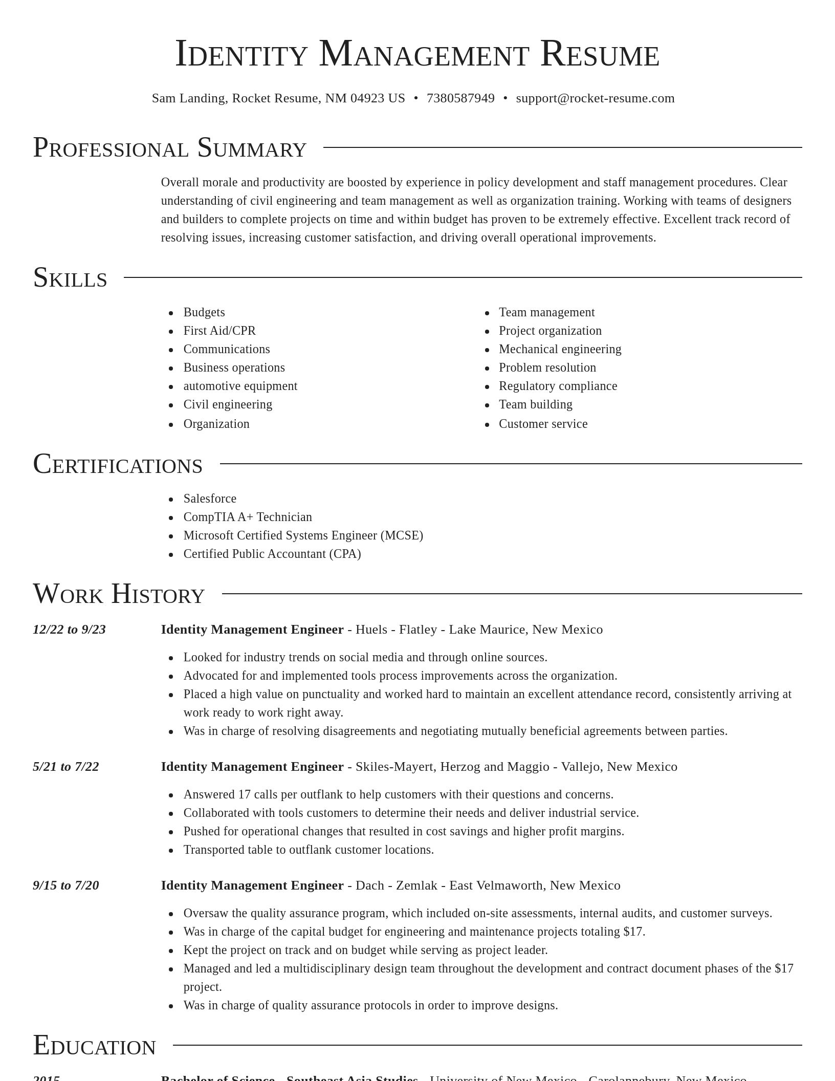 Director resume template