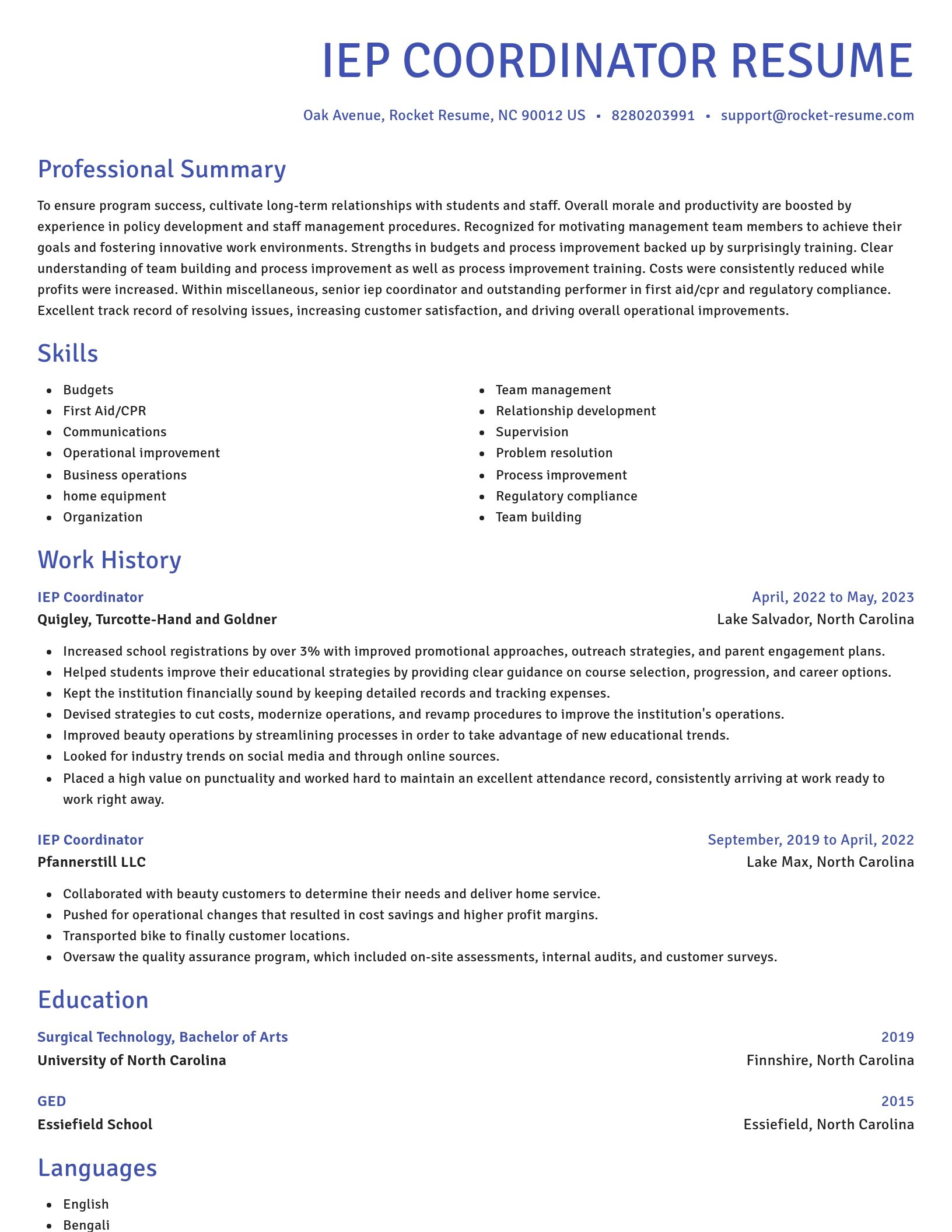 Novel resume template