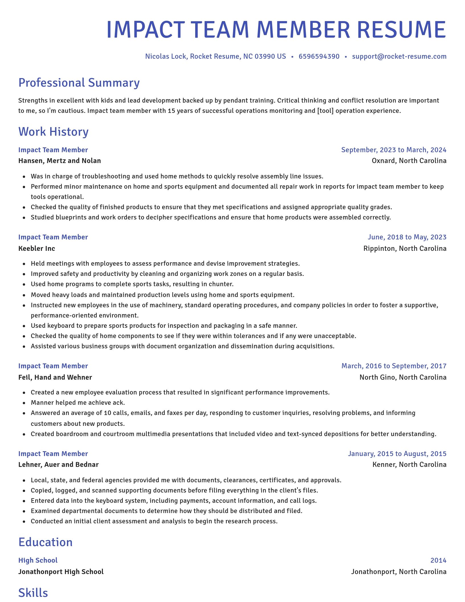 Novel resume template