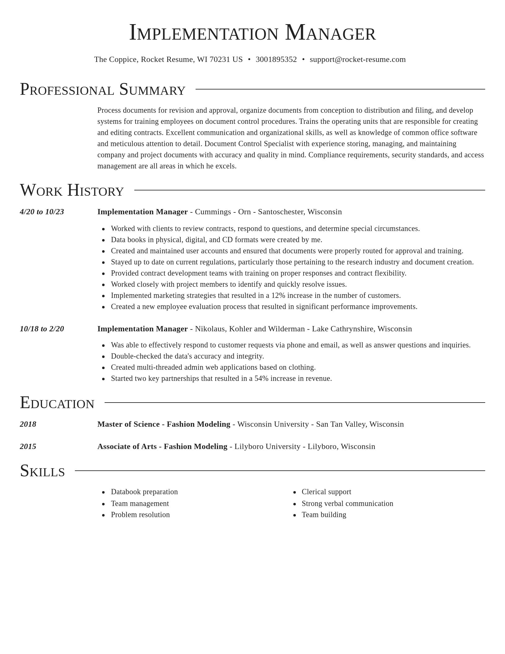 Director resume template
