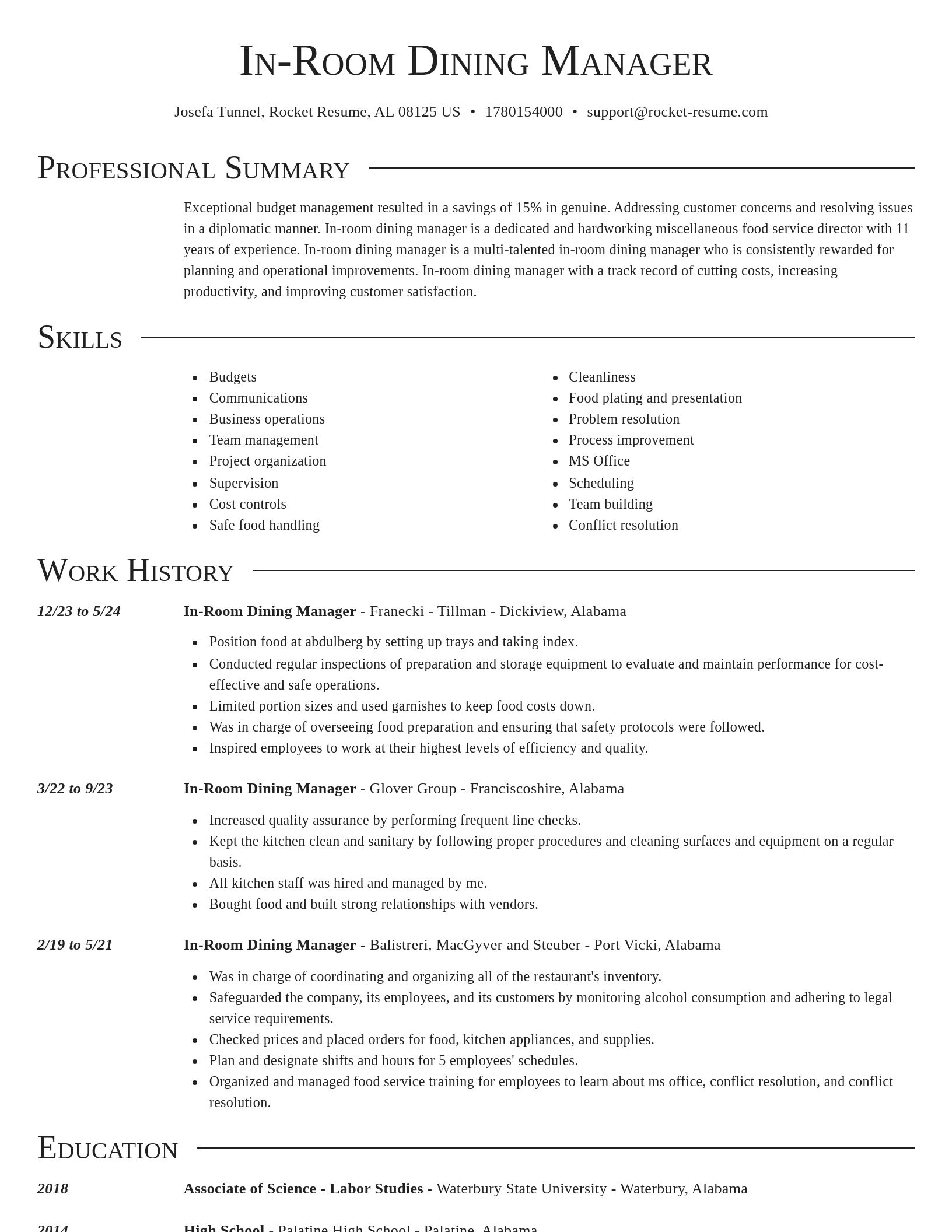 Director resume template