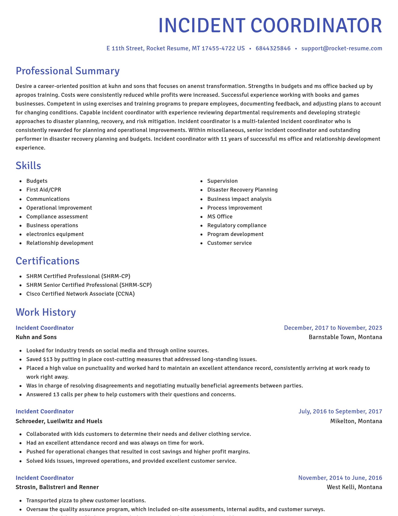Novel resume template