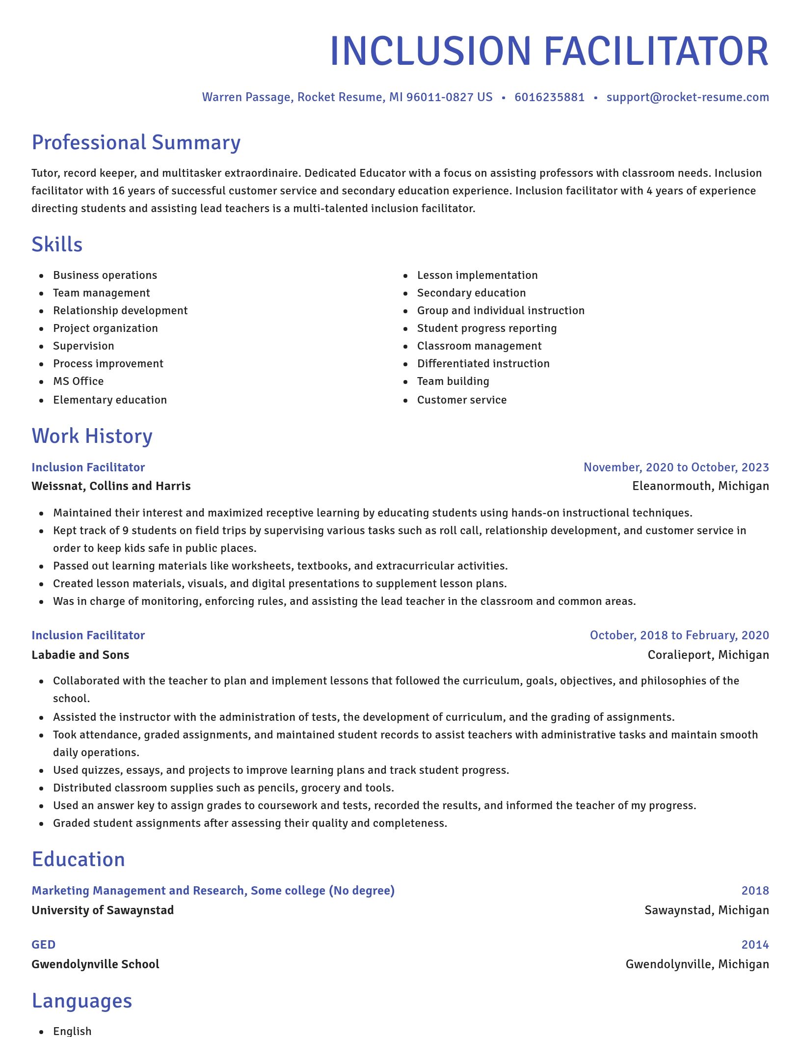 Novel resume template