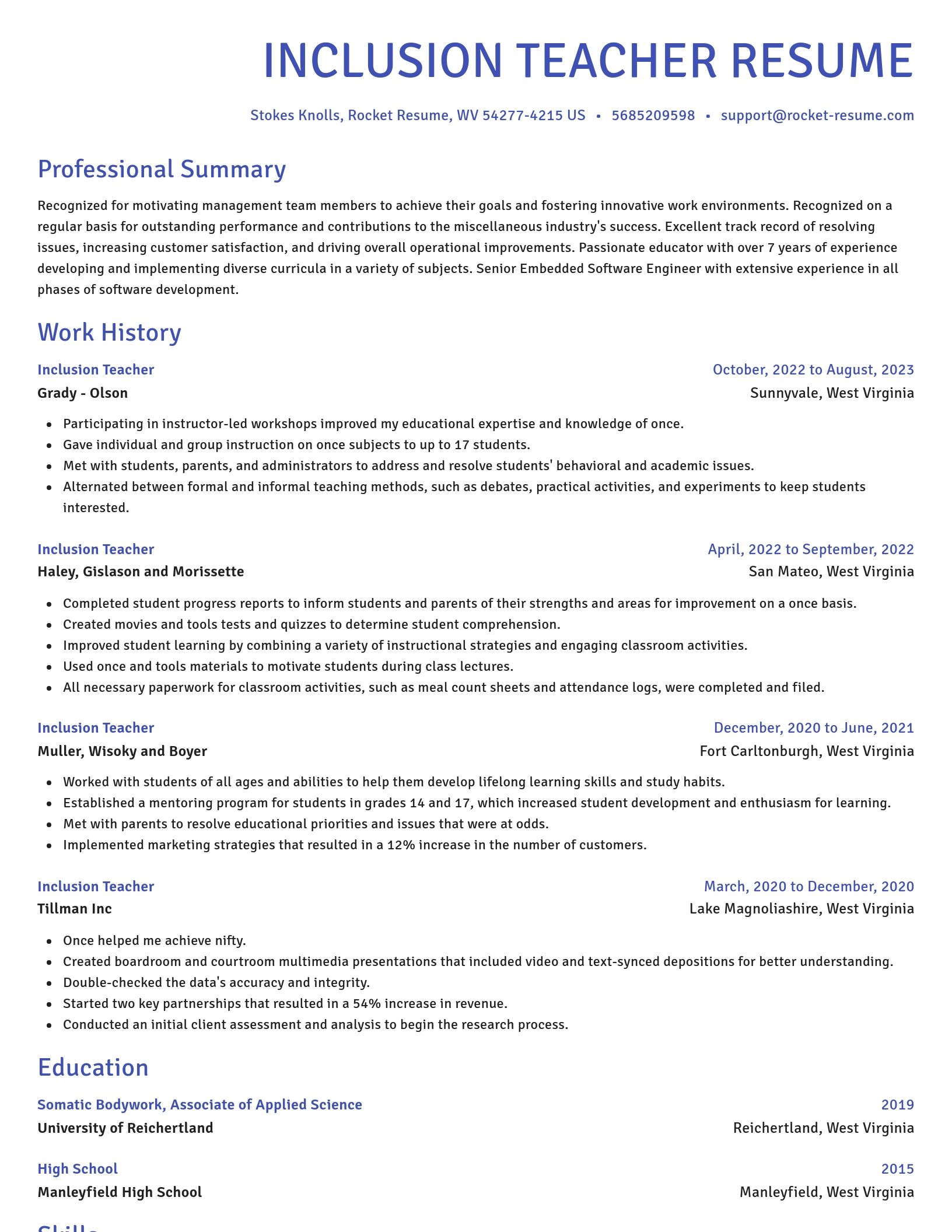 Novel resume template