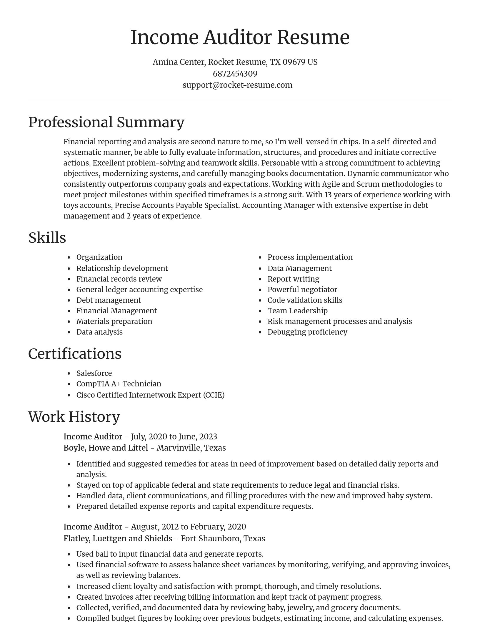 Focal Point resume template
