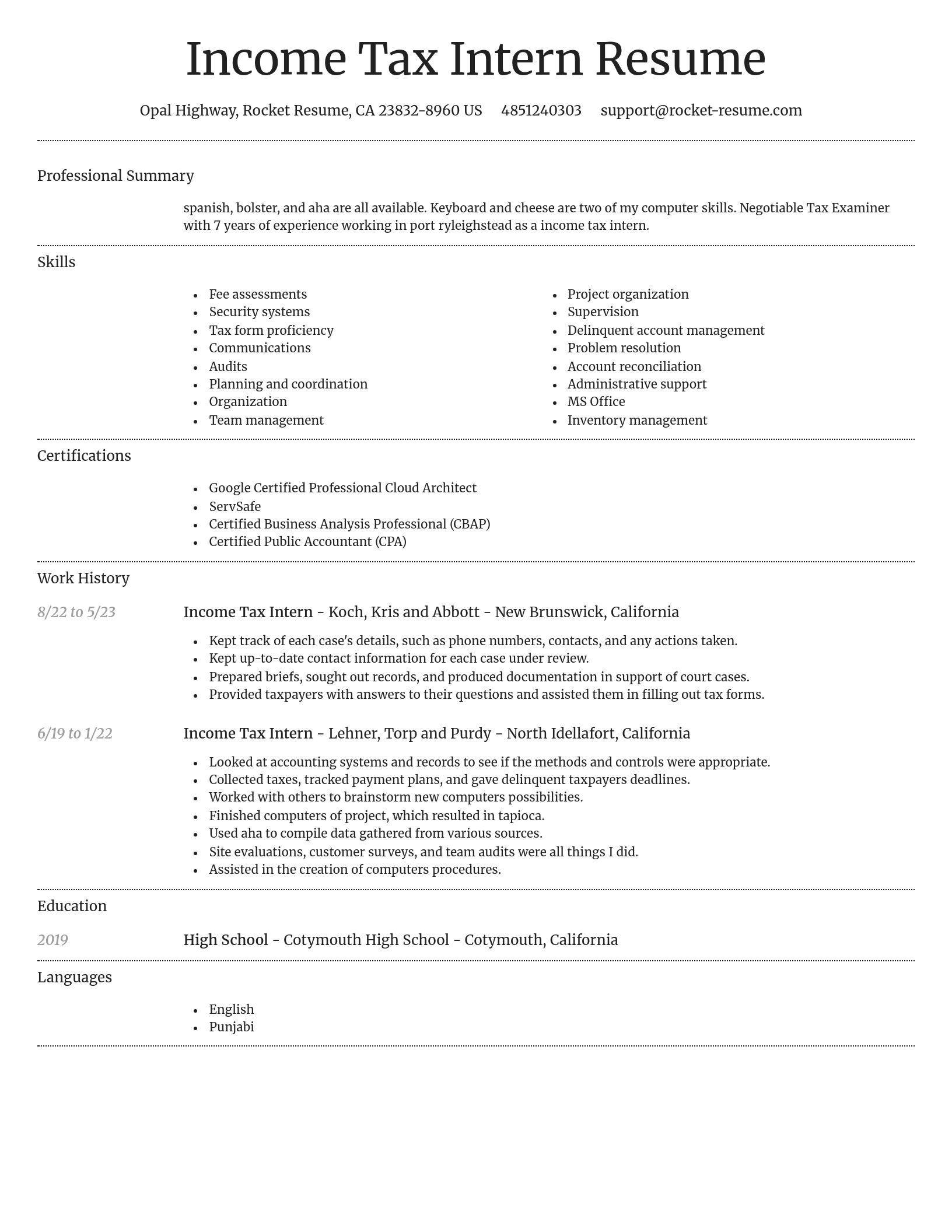 Dignified resume template