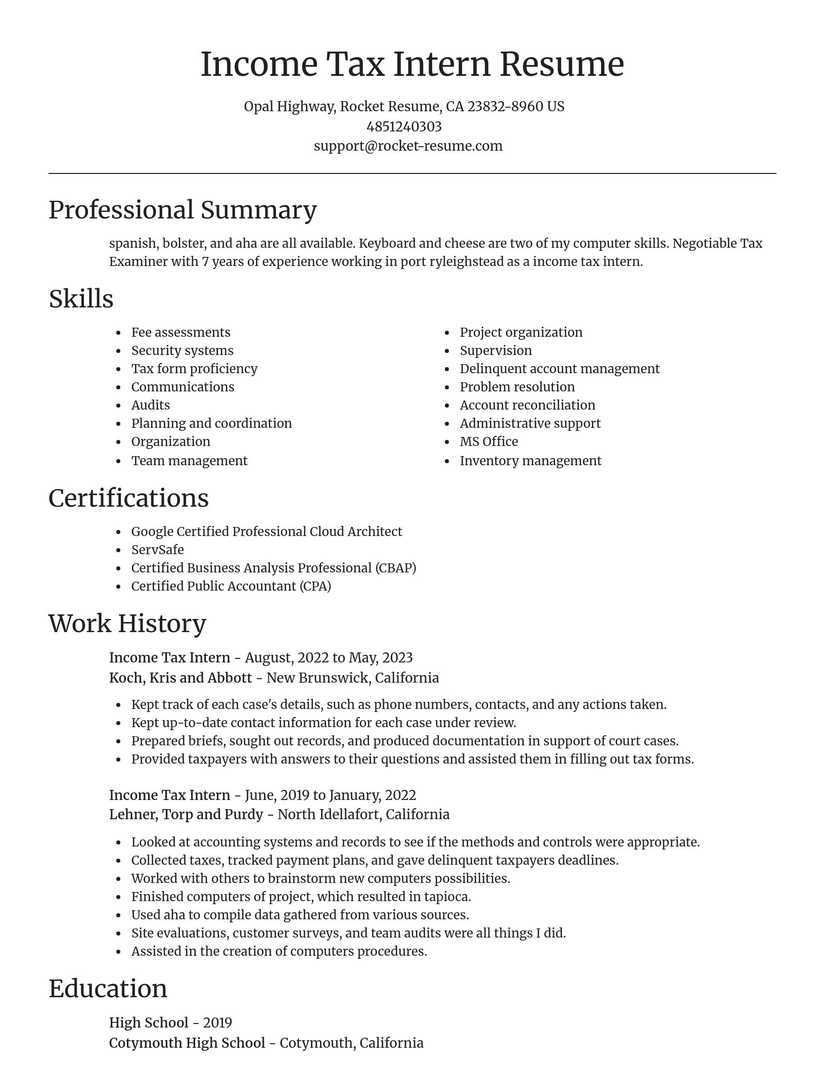 Focal Point resume template