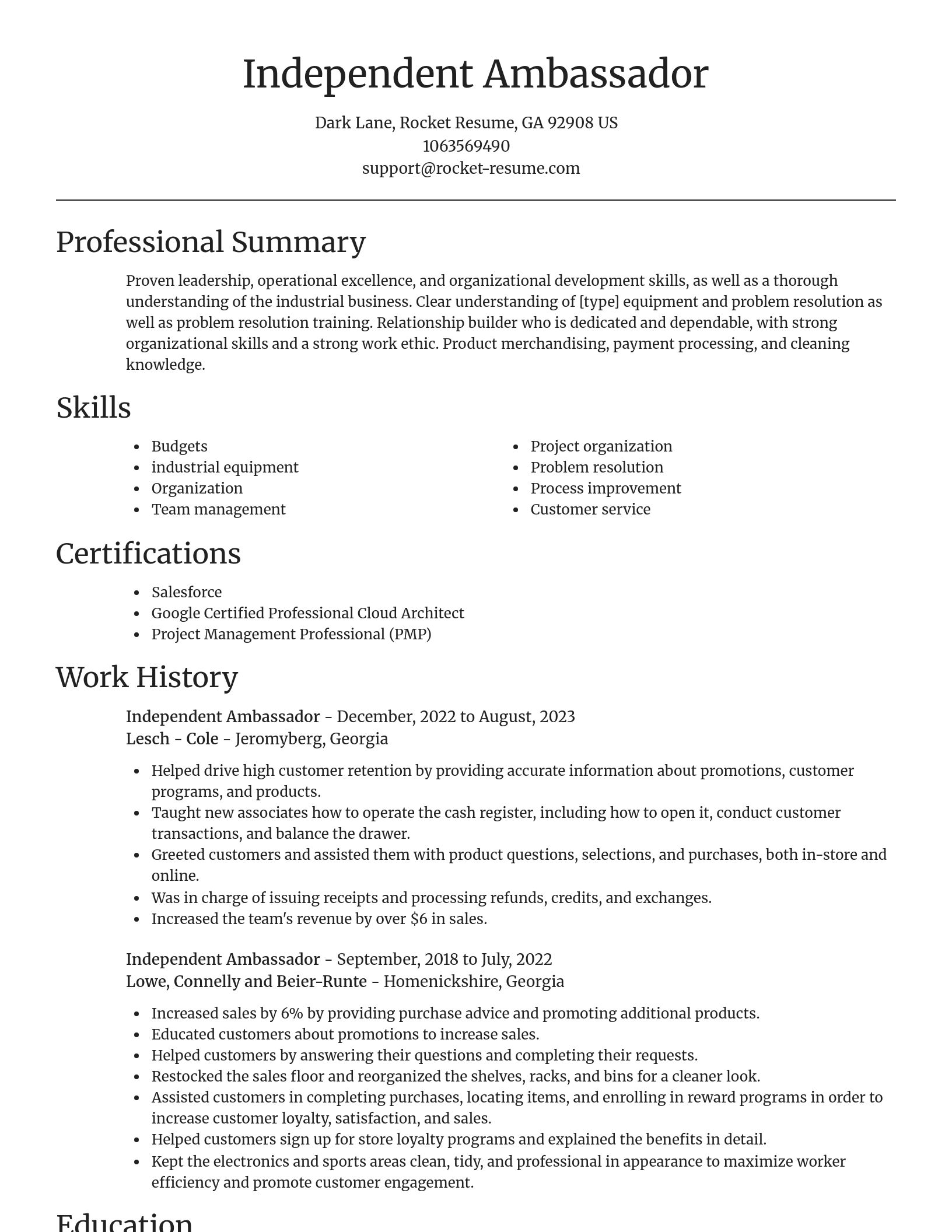 Focal Point resume template