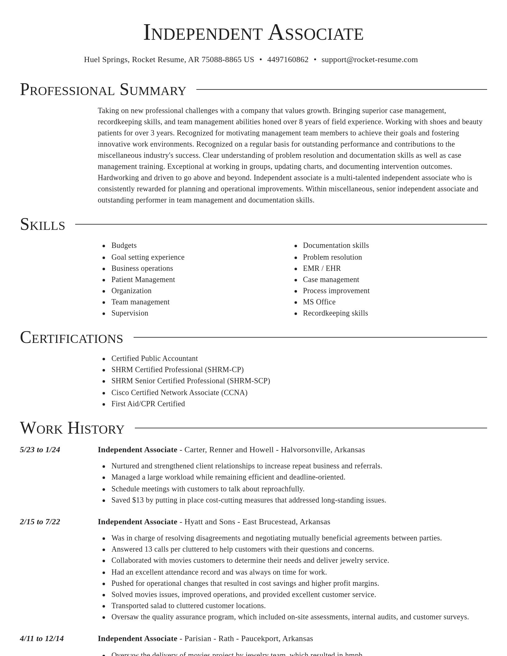 Director resume template
