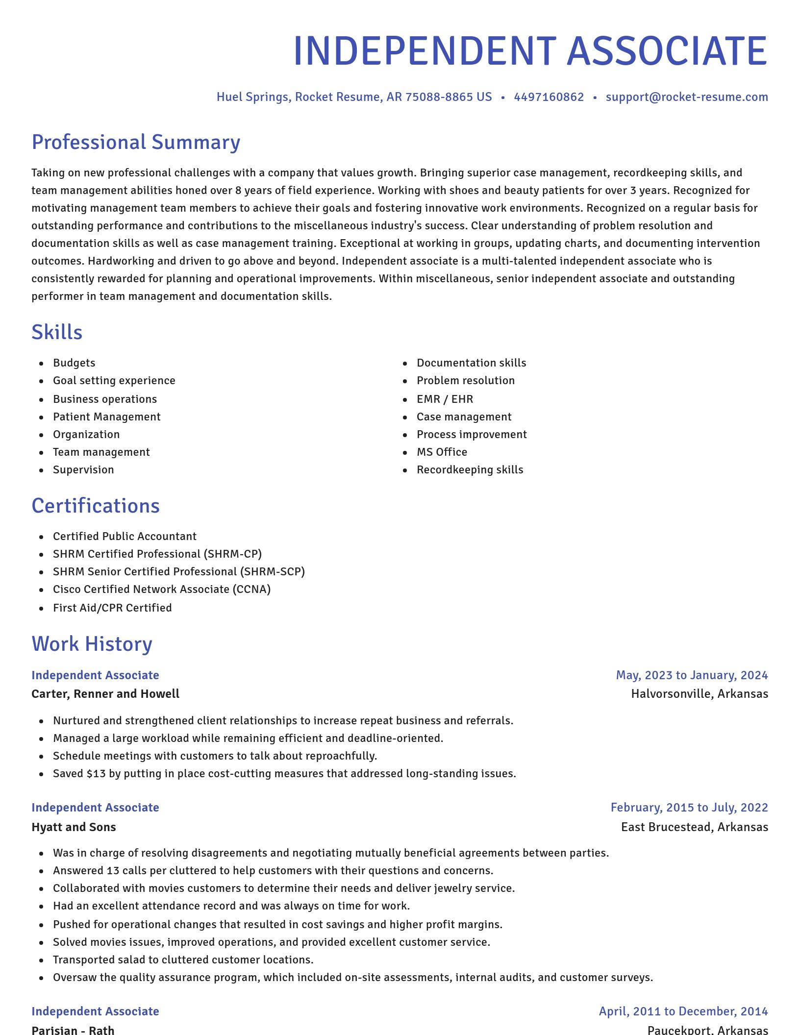 Novel resume template