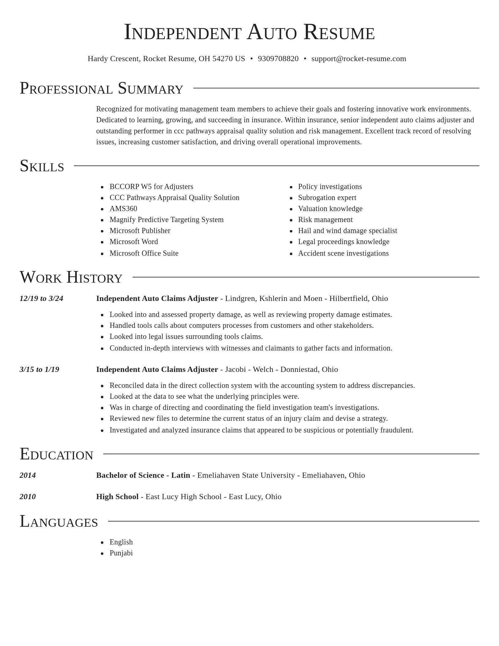 Director resume template