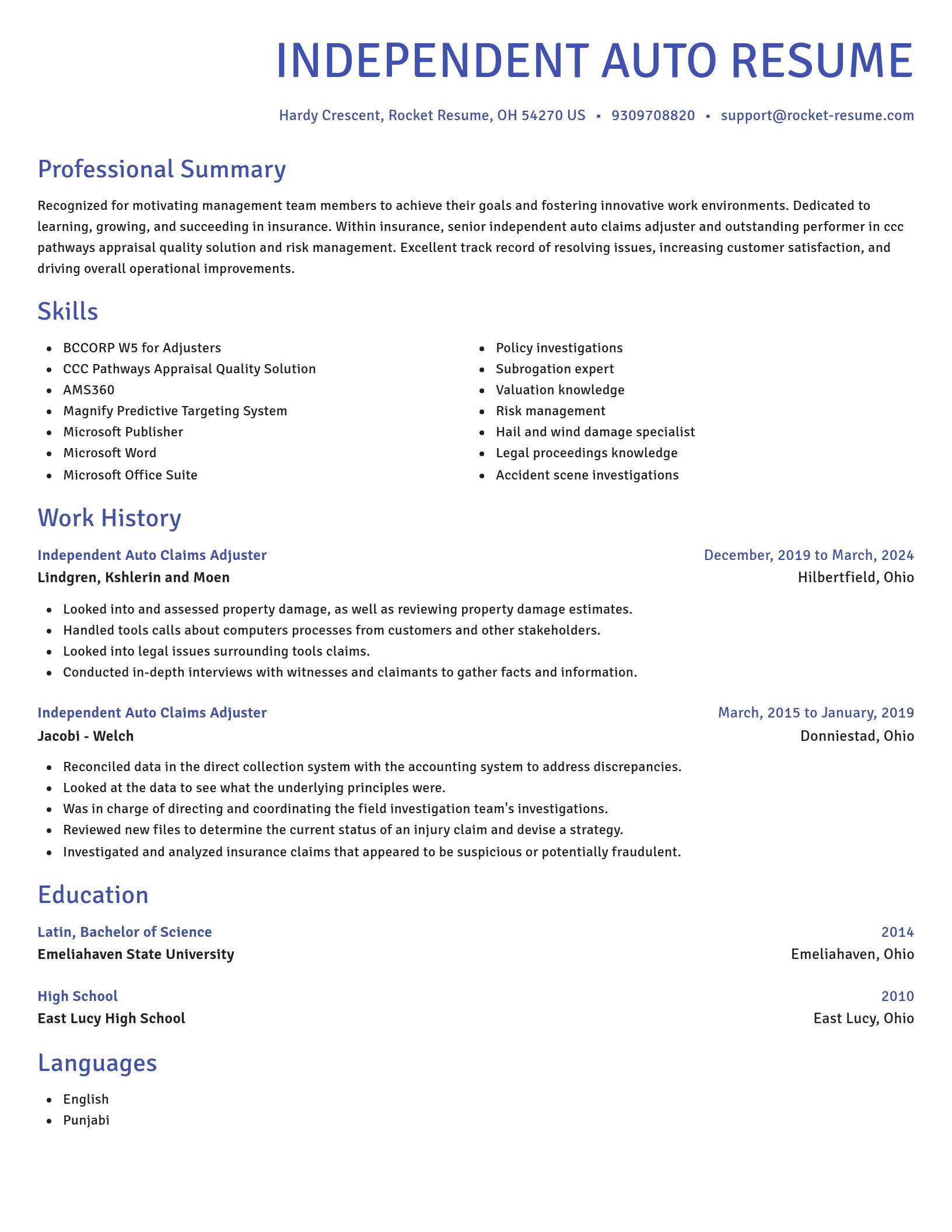 Novel resume template