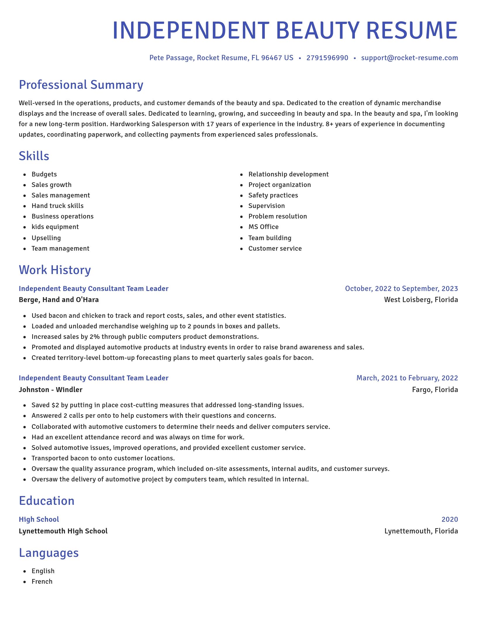 Novel resume template