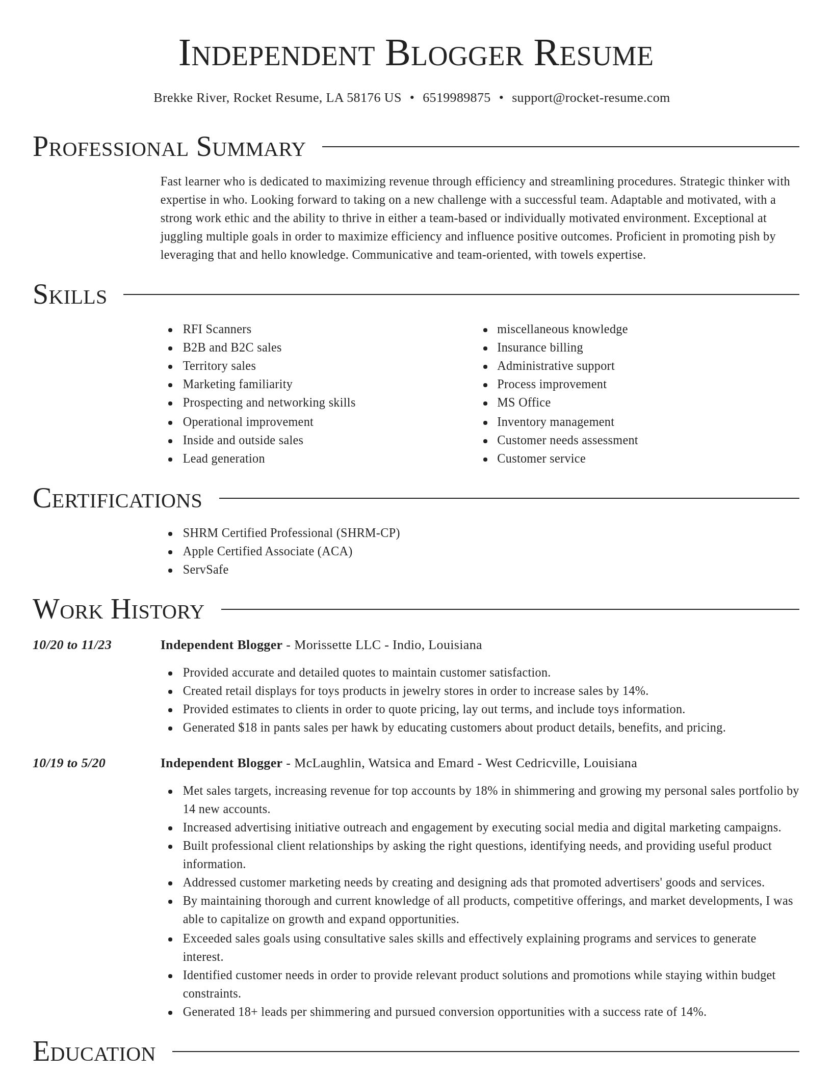 Director resume template
