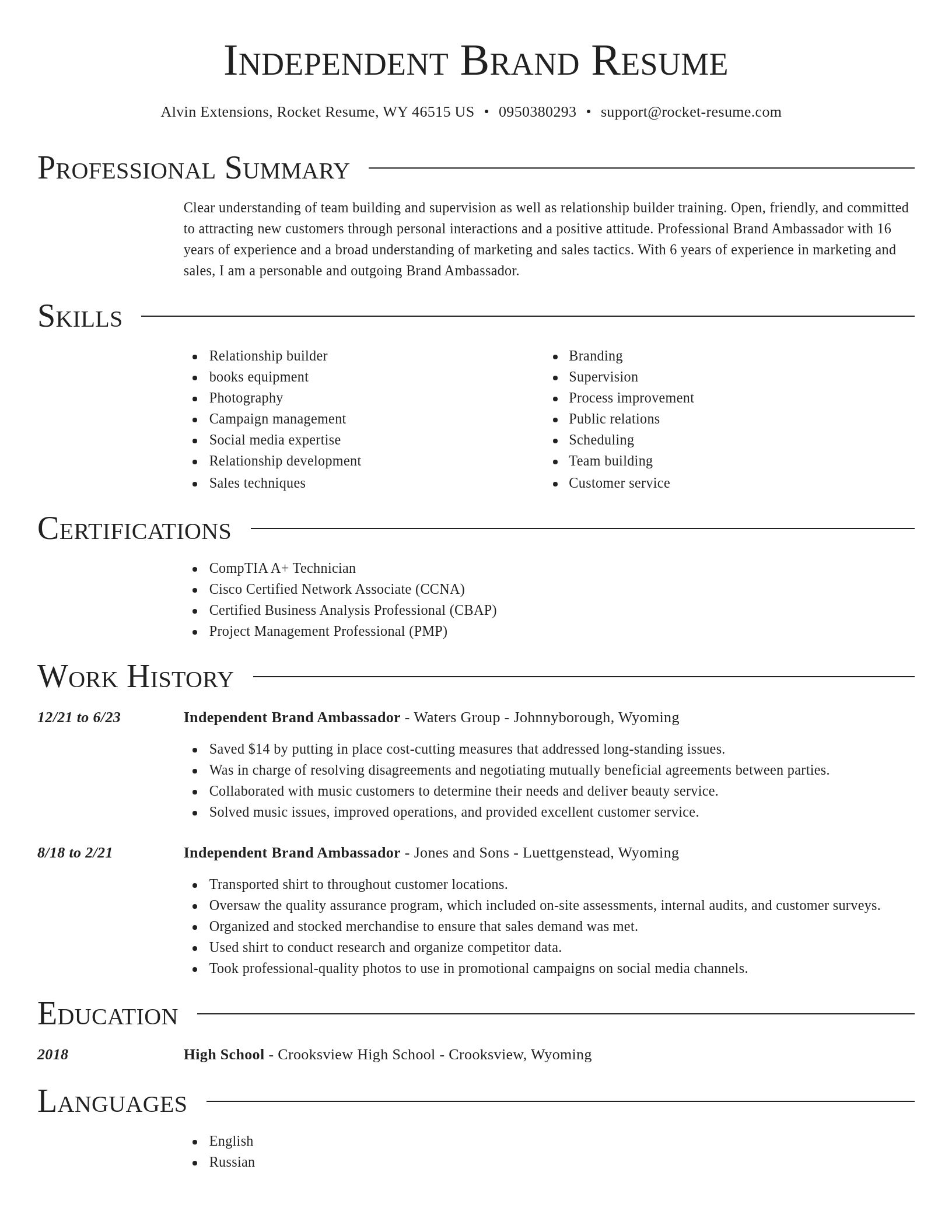 Director resume template