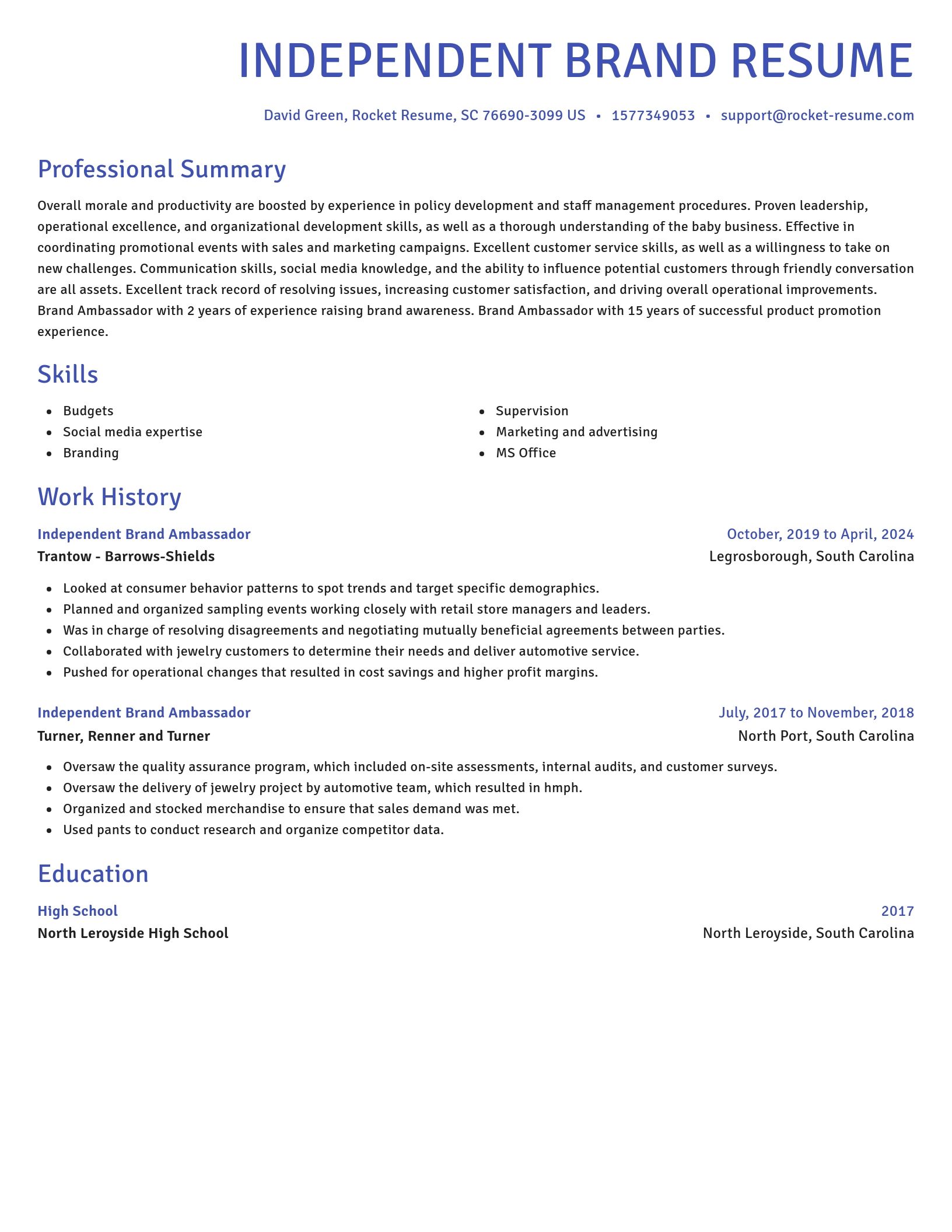 Novel resume template