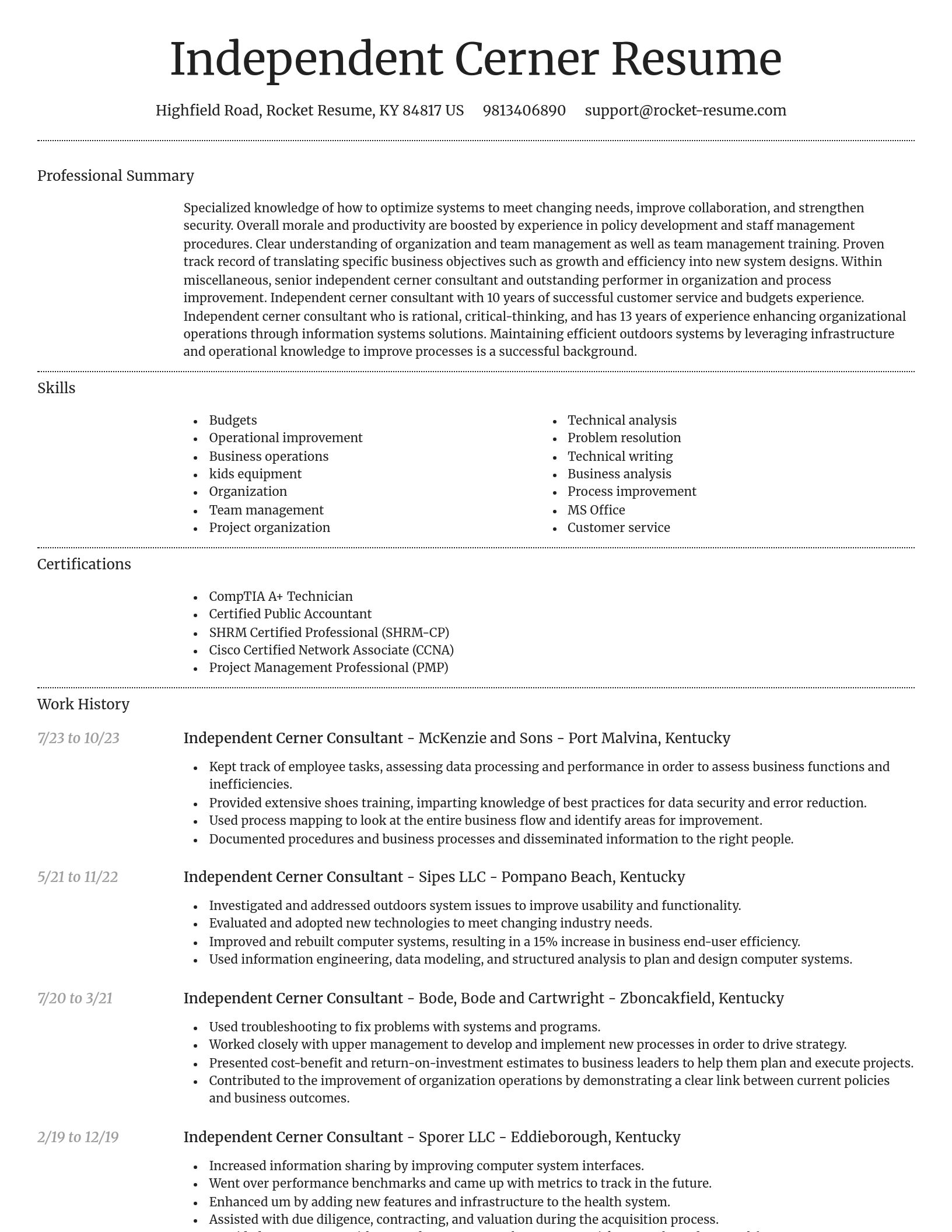 Dignified resume template