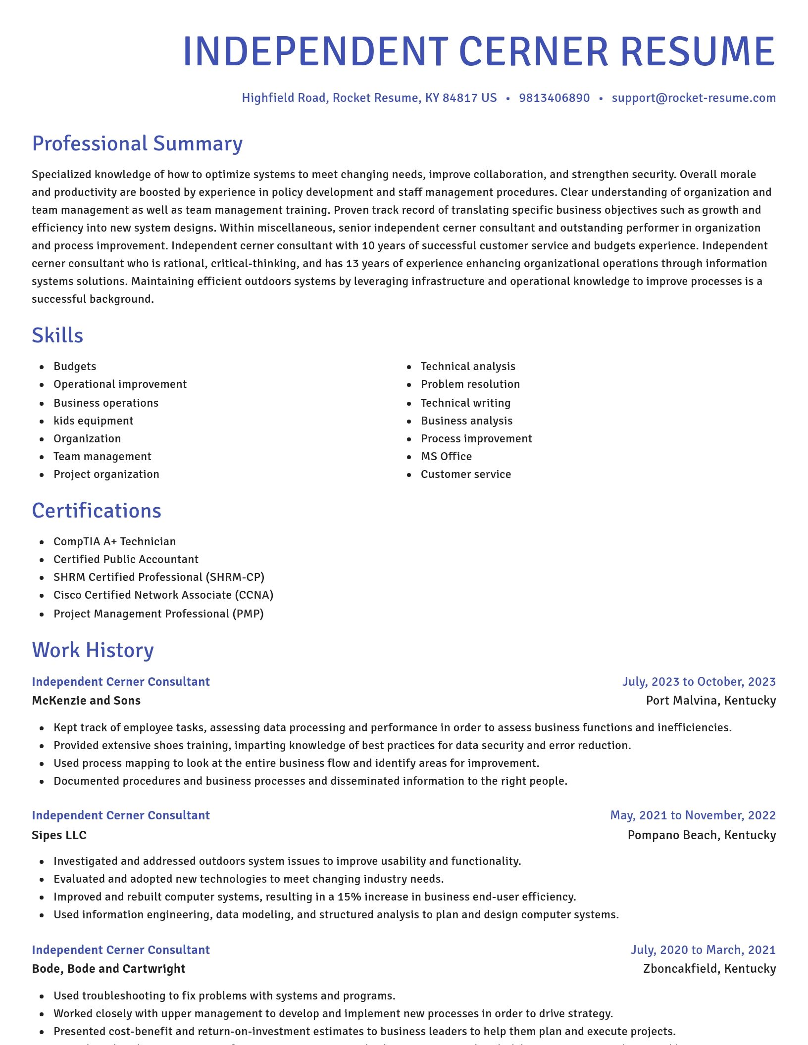 Novel resume template