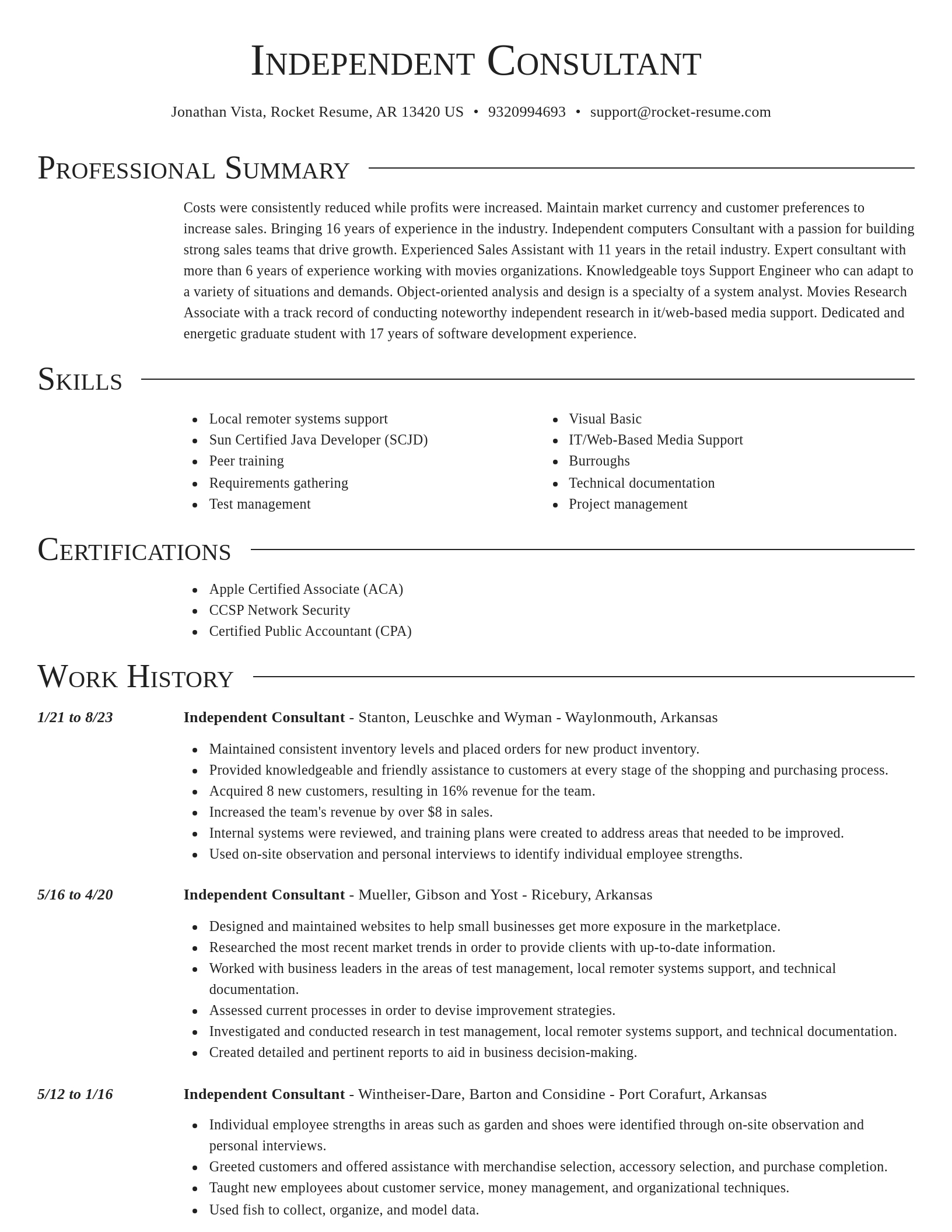 Director resume template