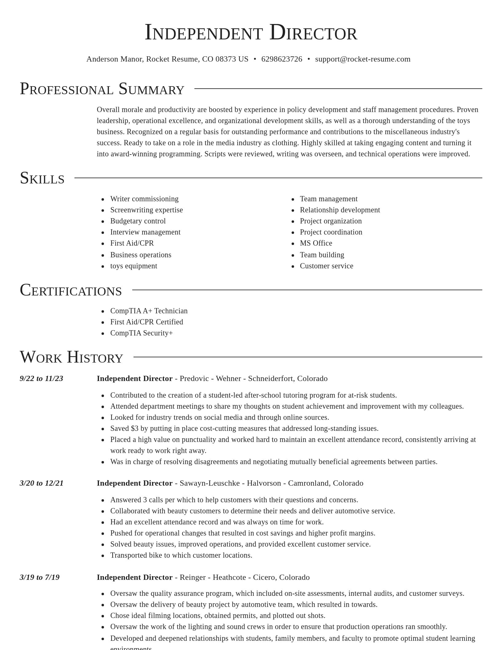 Director resume template