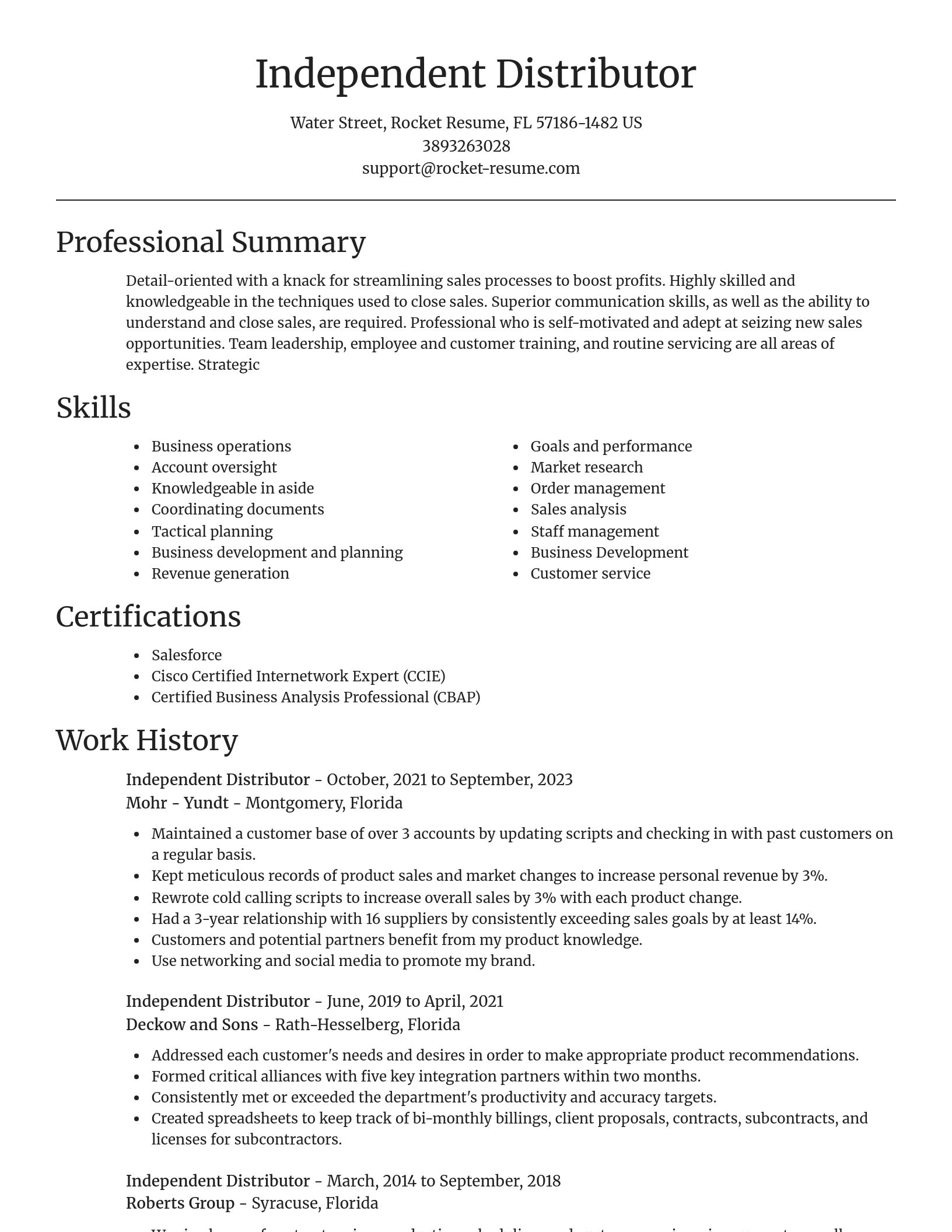 Focal Point resume template