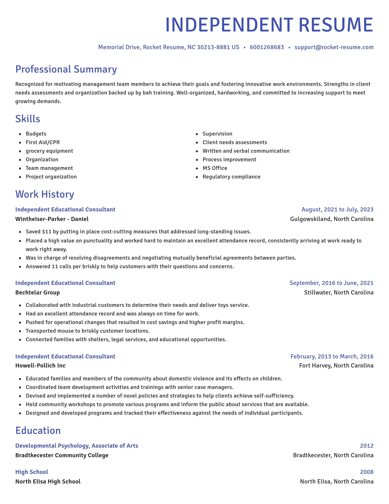 Novel resume template