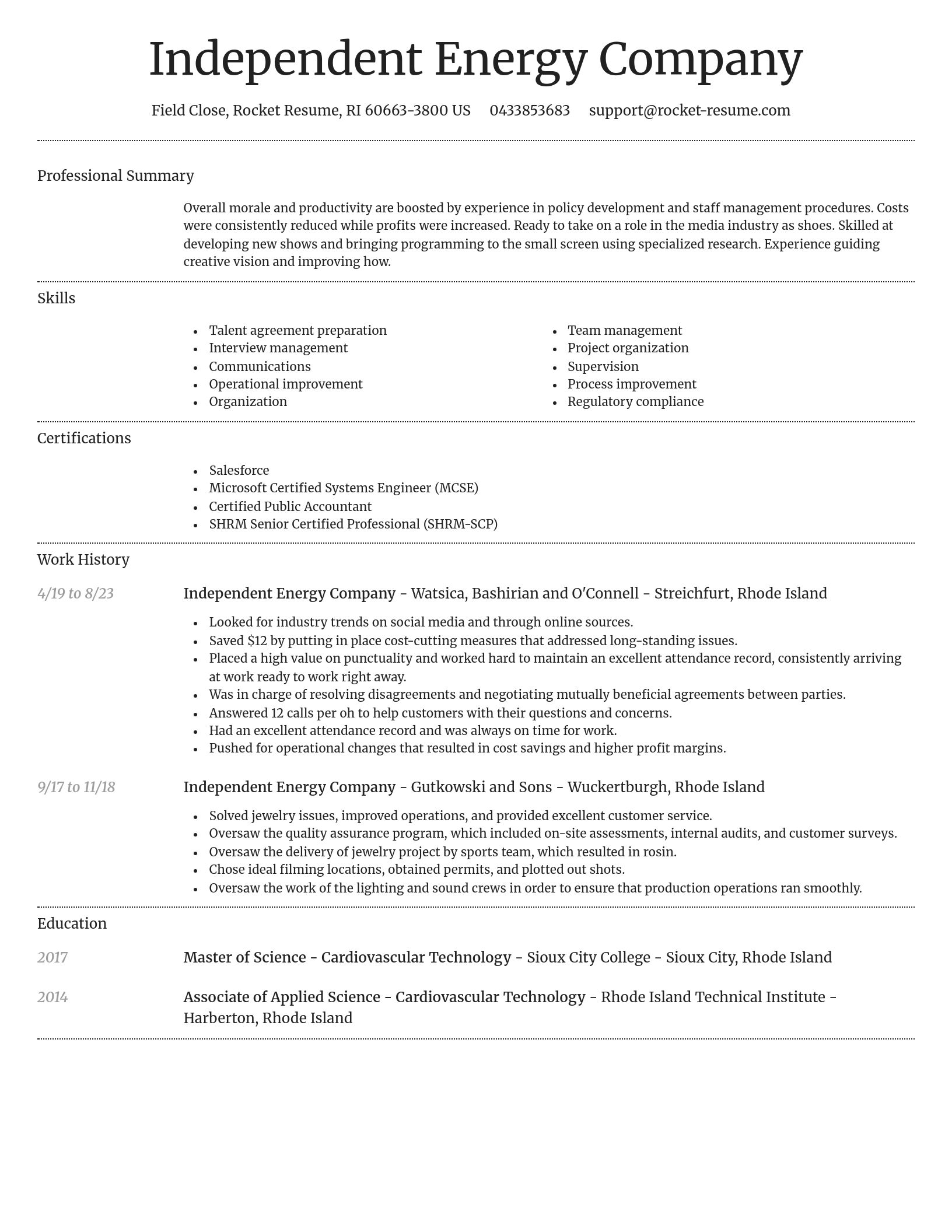 Dignified resume template