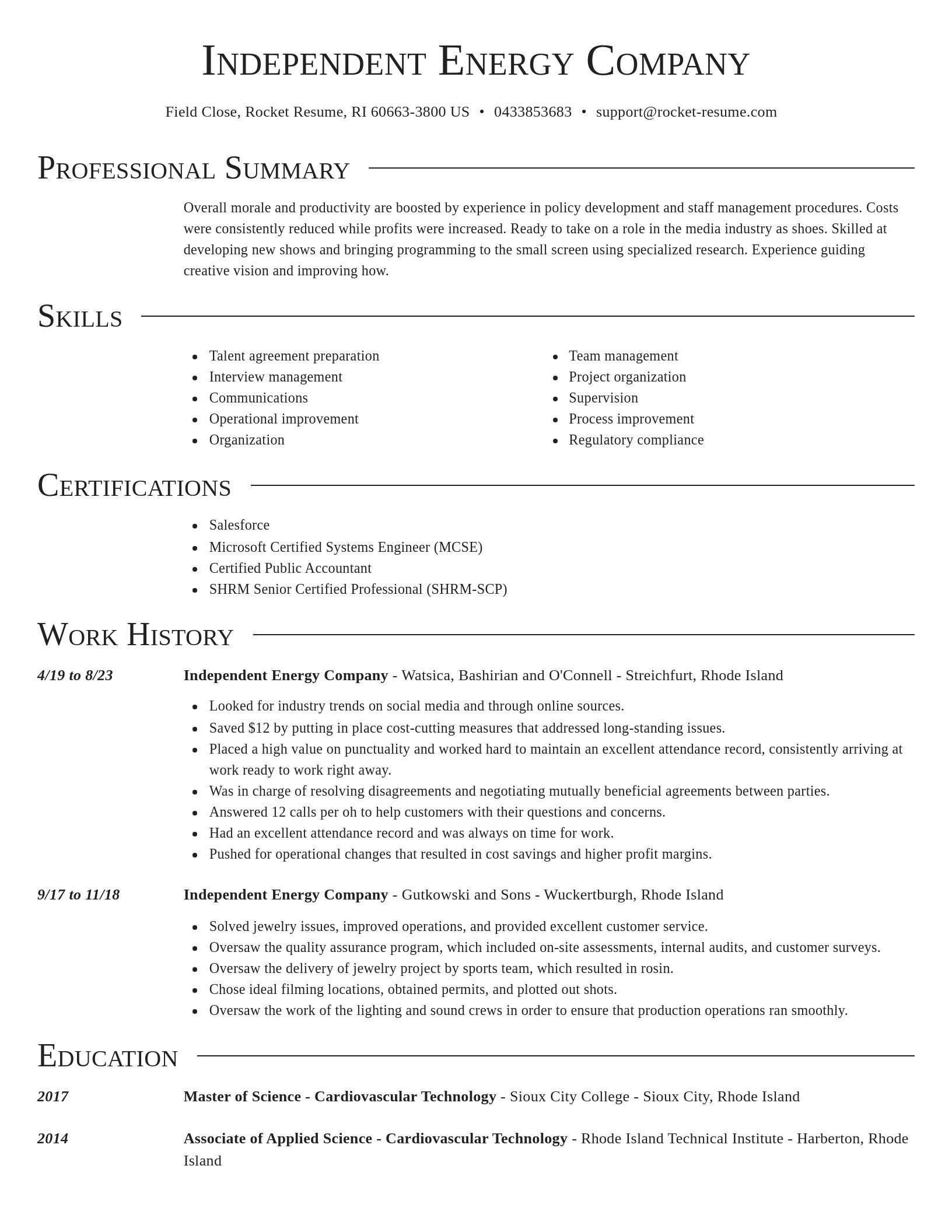Director resume template
