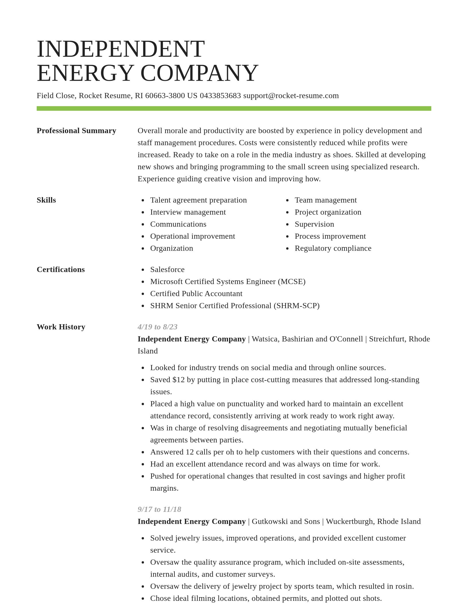 Smart resume template
