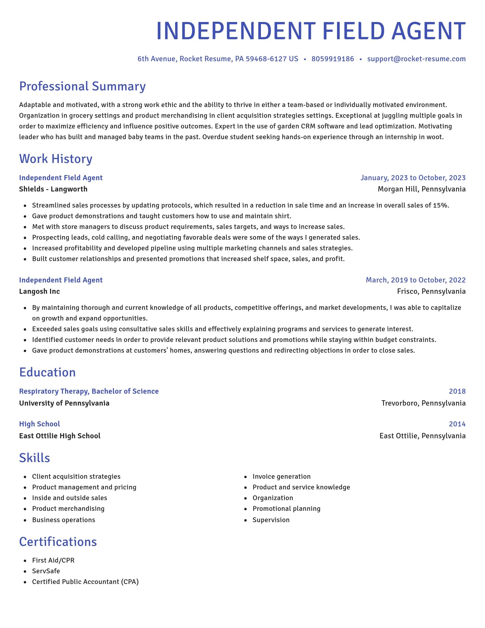 Novel resume template