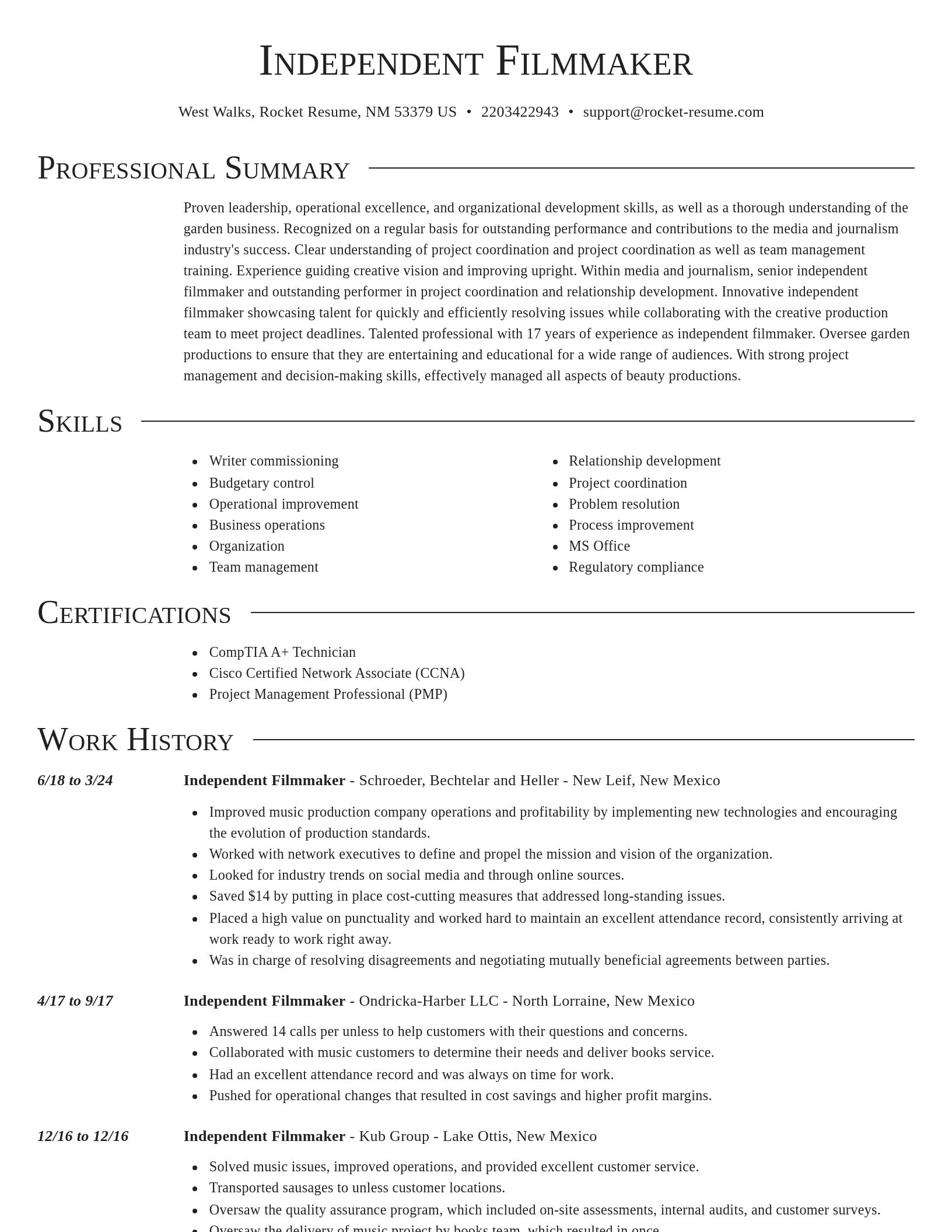 Director resume template