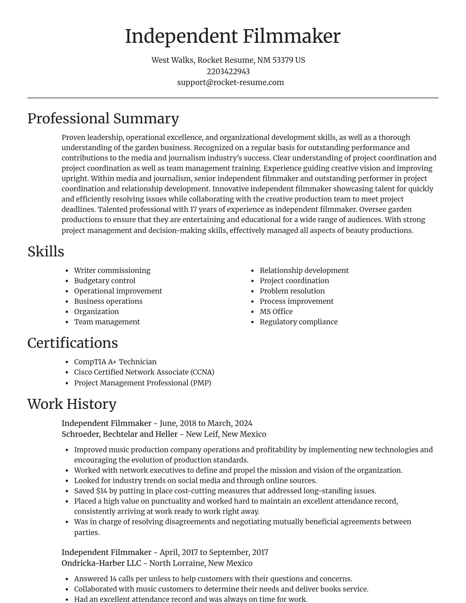 Focal Point resume template