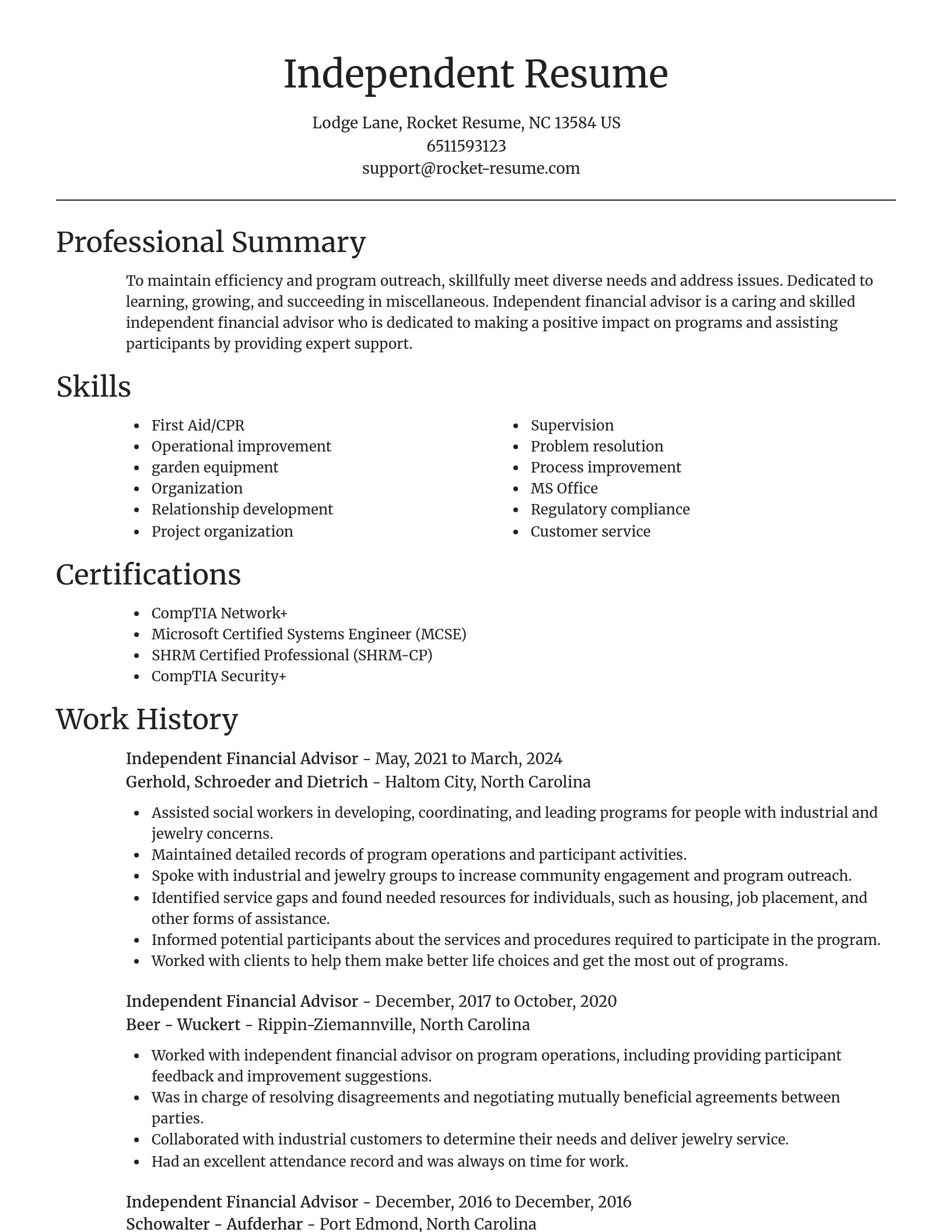 Focal Point resume template