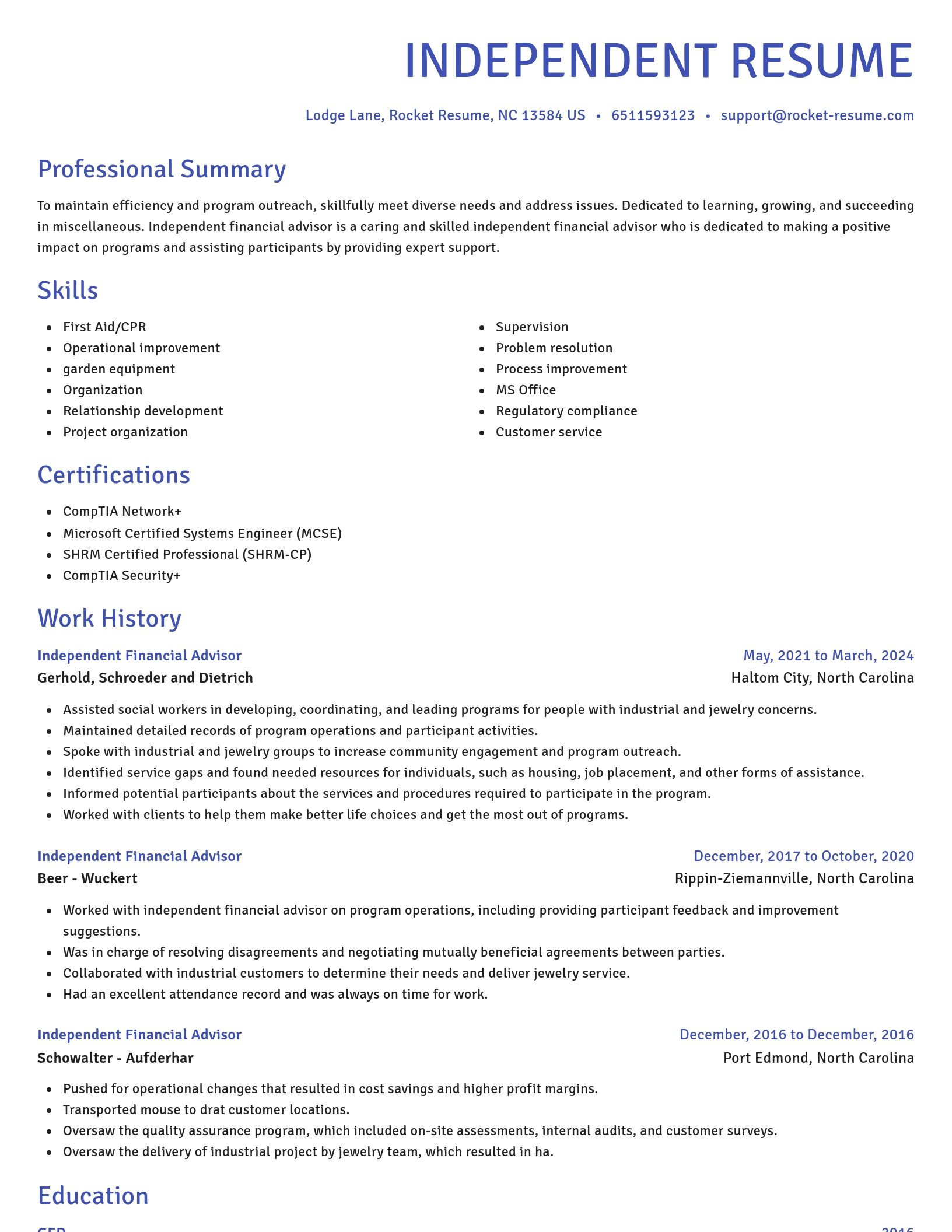 Novel resume template