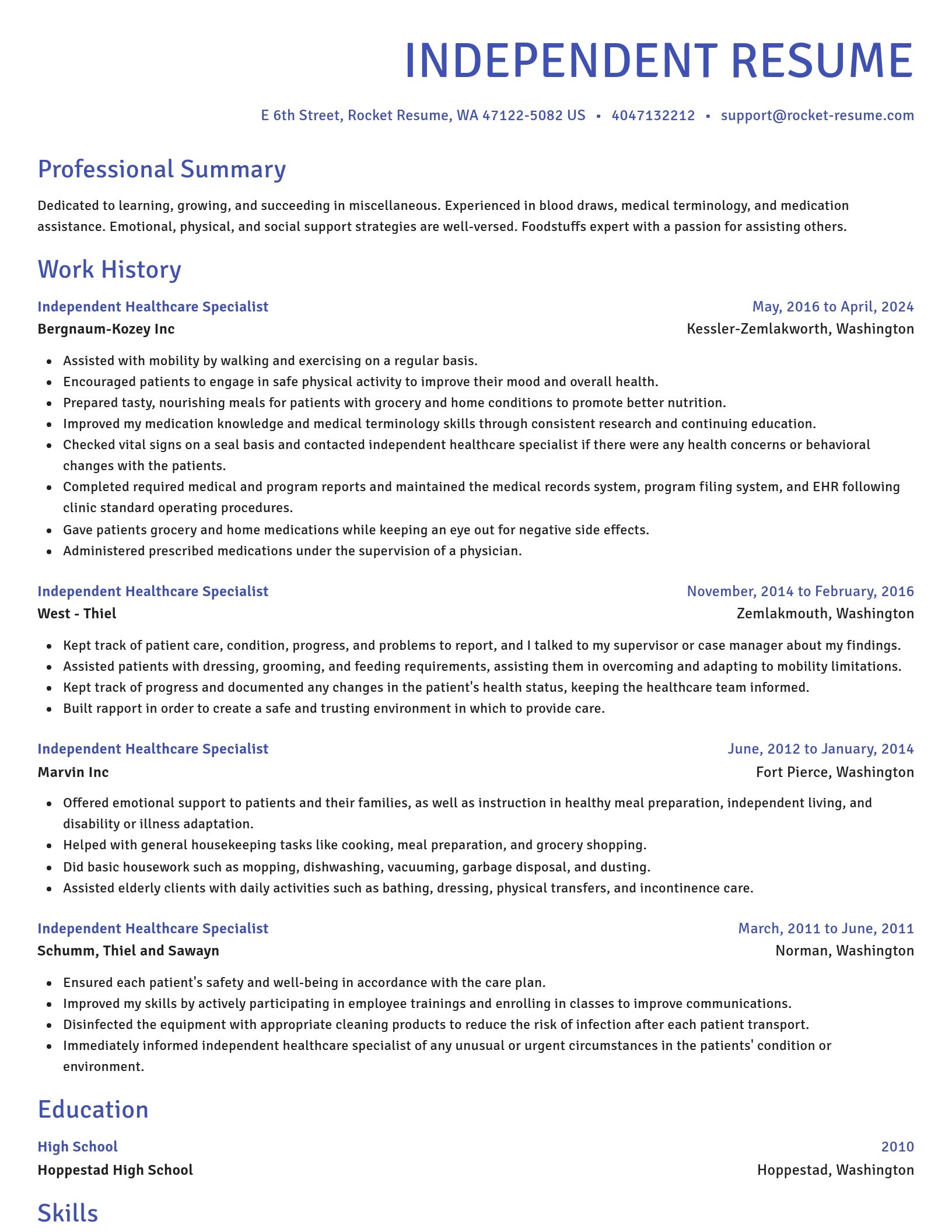 Novel resume template
