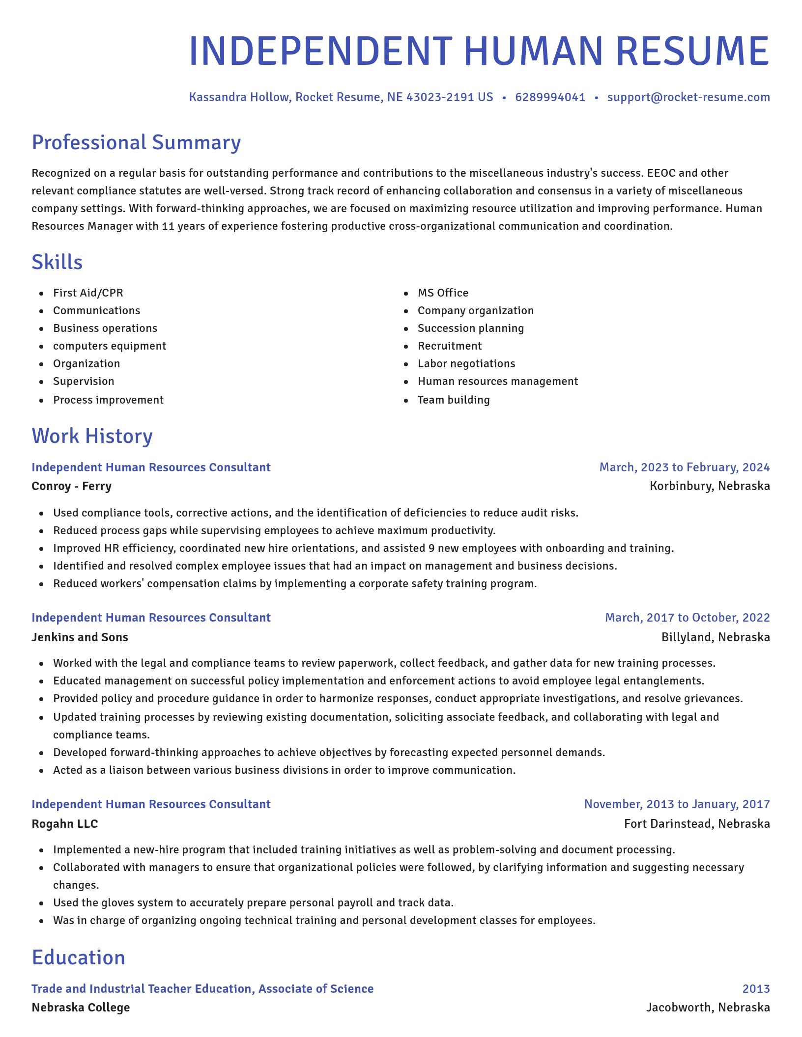 Novel resume template