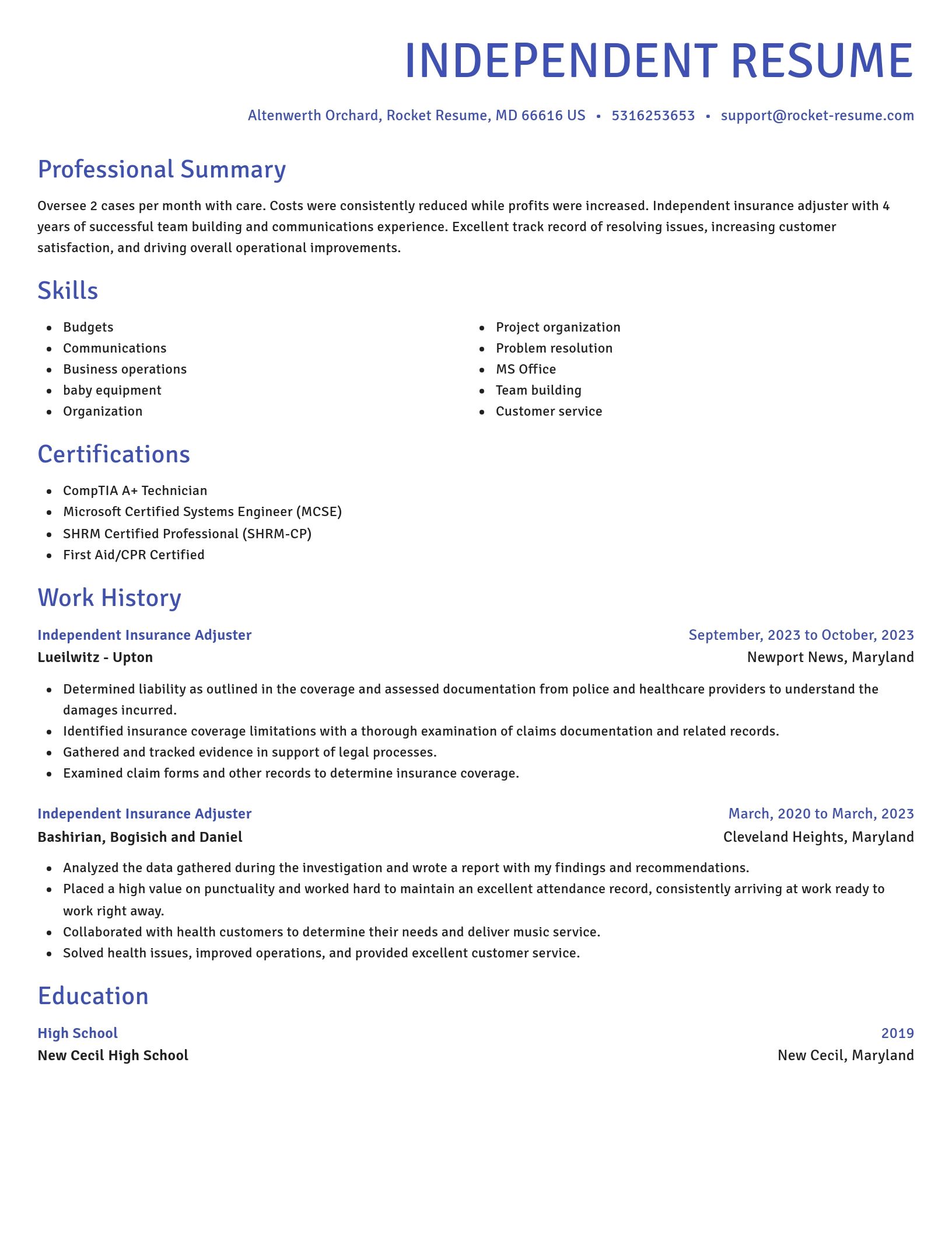 Novel resume template
