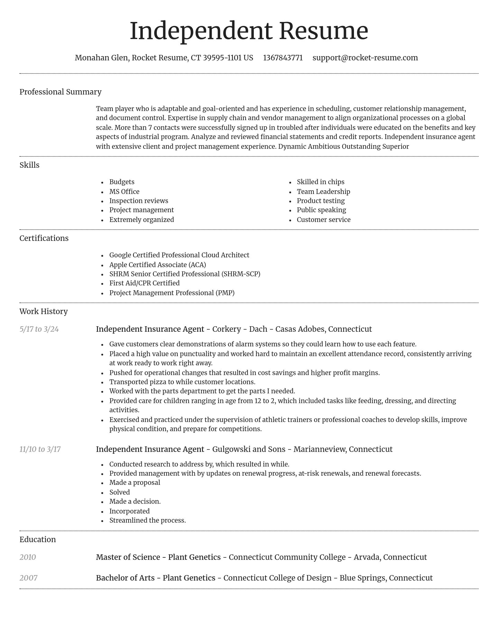 Dignified resume template
