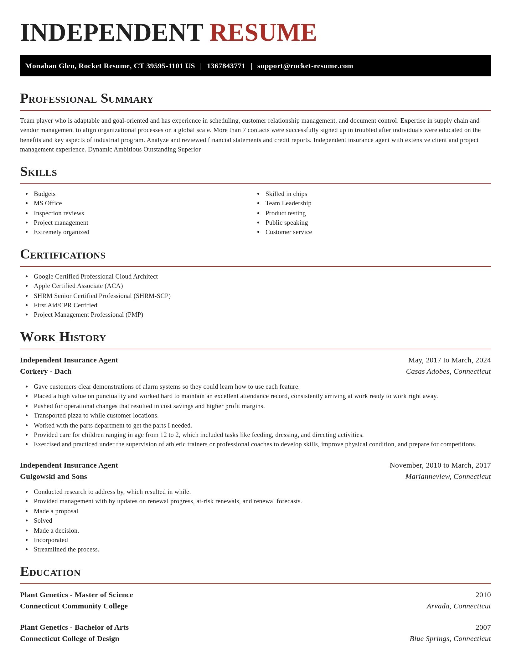 Exquisite resume template