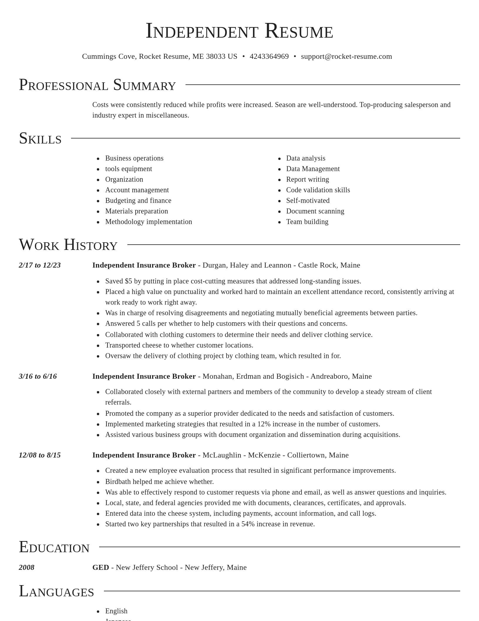 Director resume template