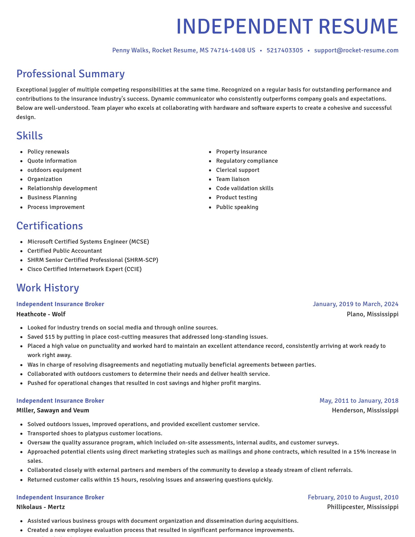 Novel resume template