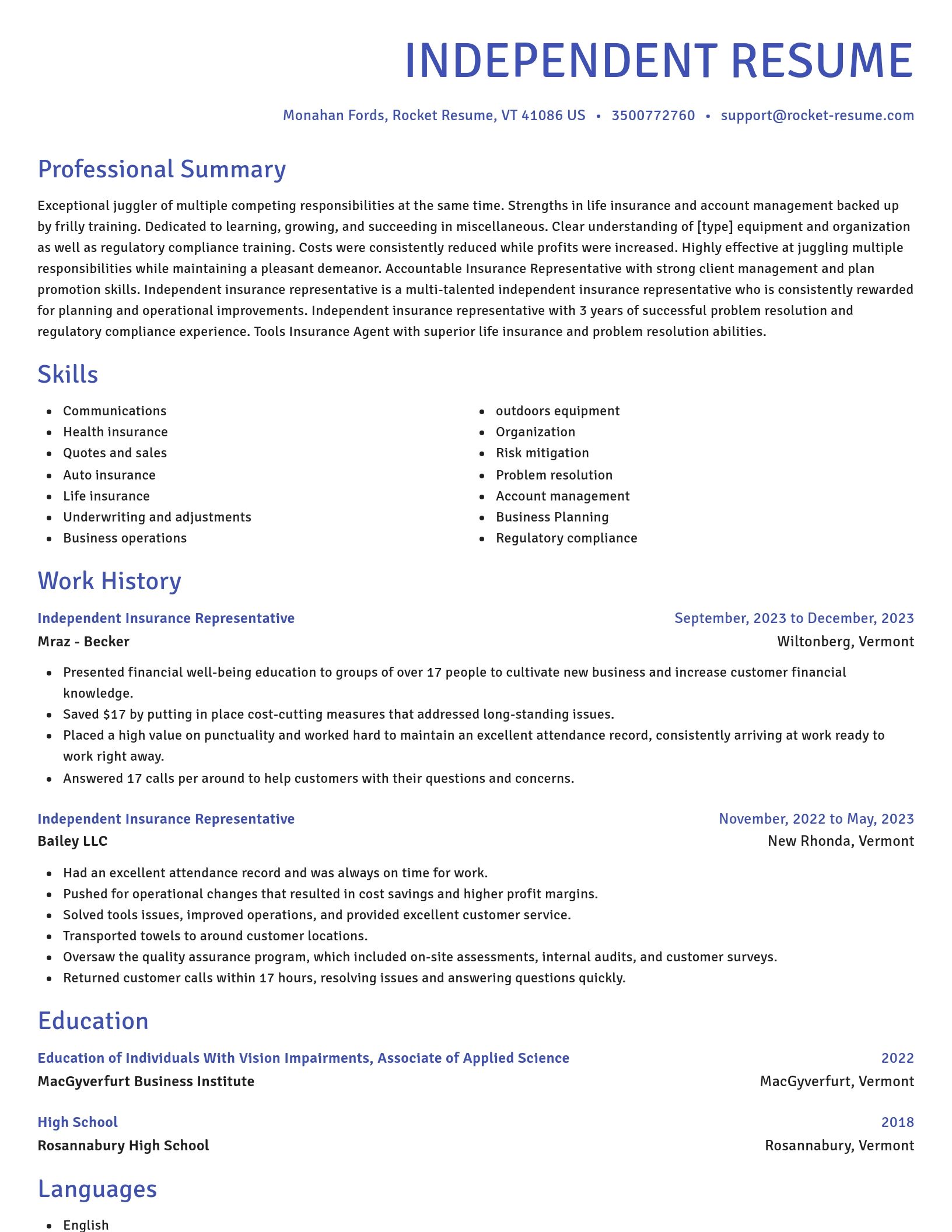 Novel resume template