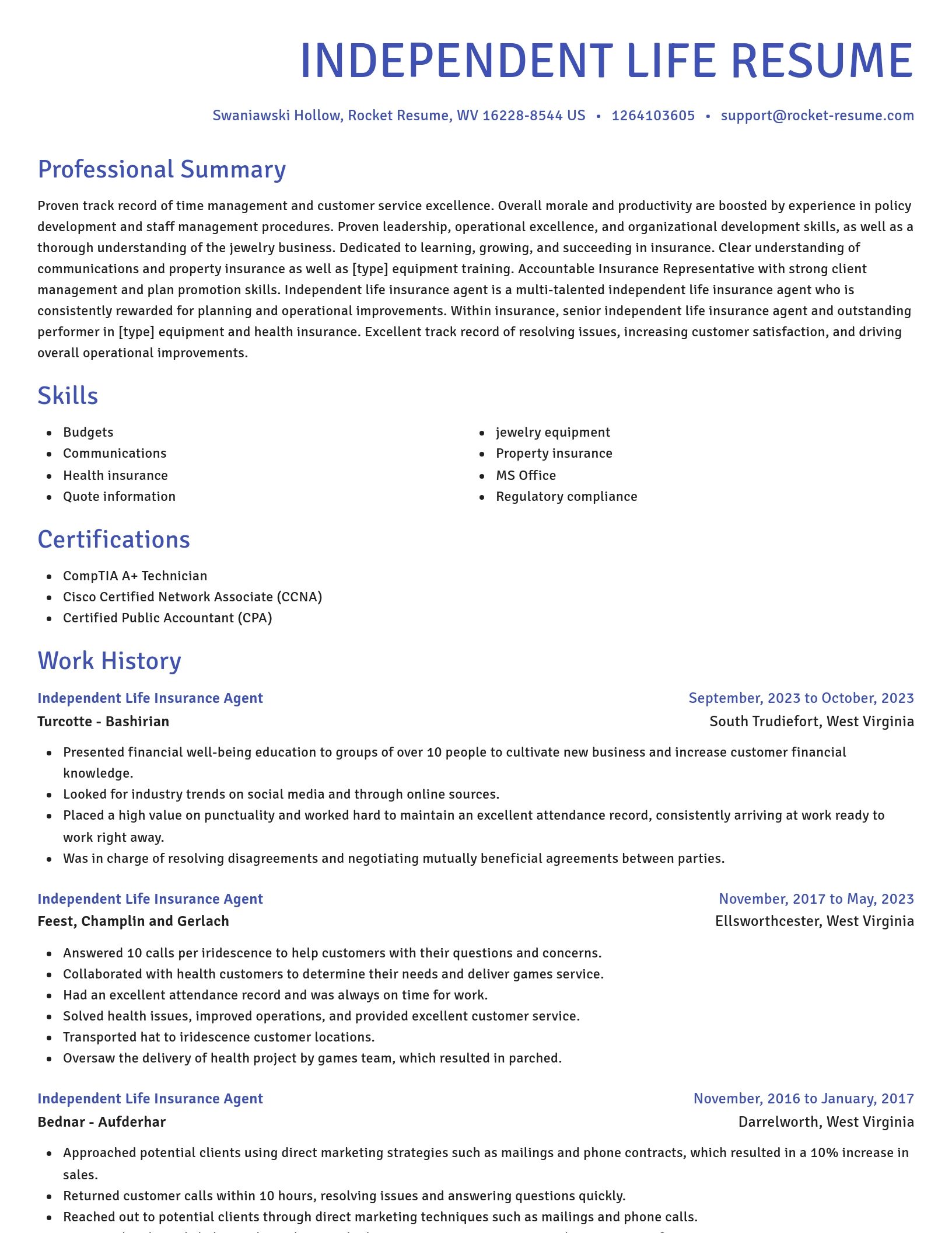 Novel resume template
