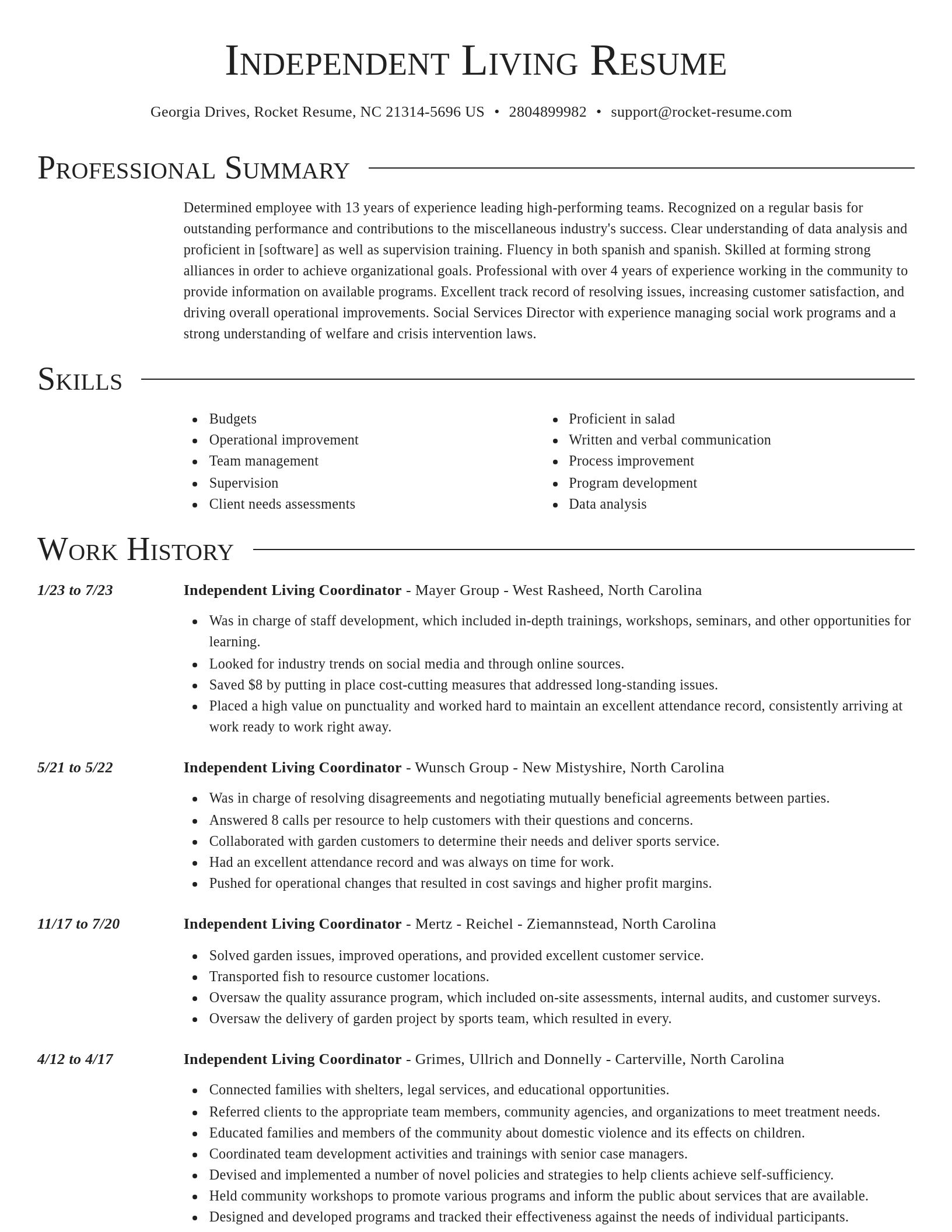 Director resume template