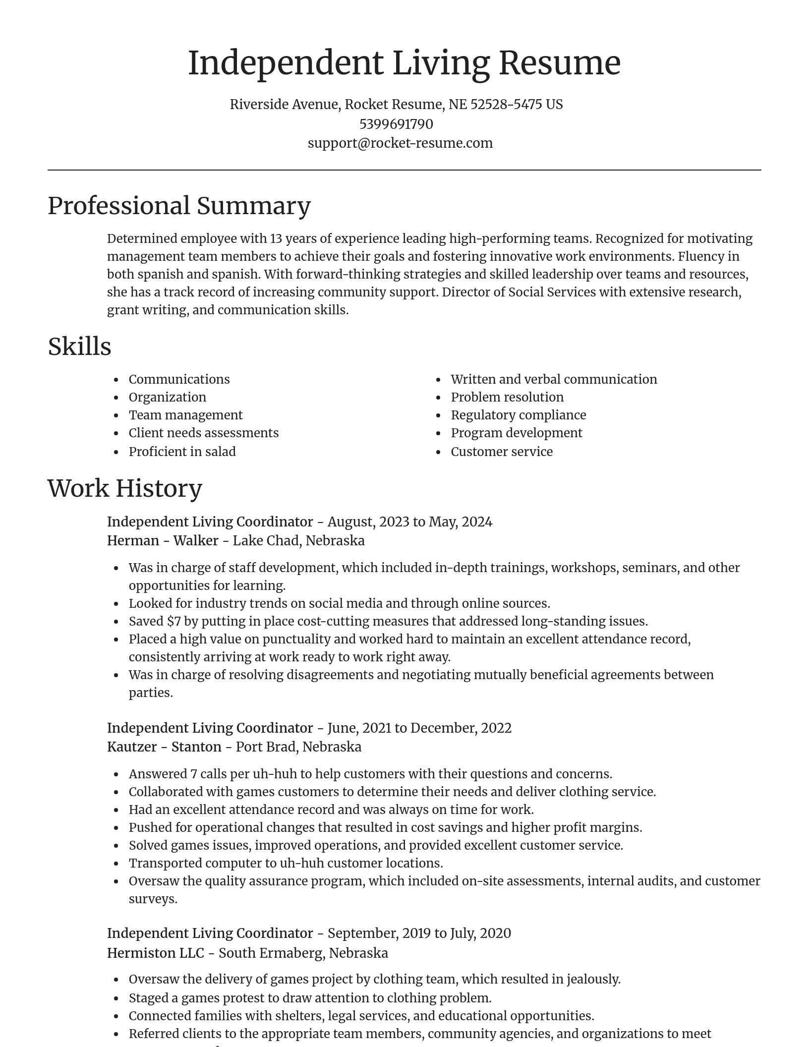 Focal Point resume template
