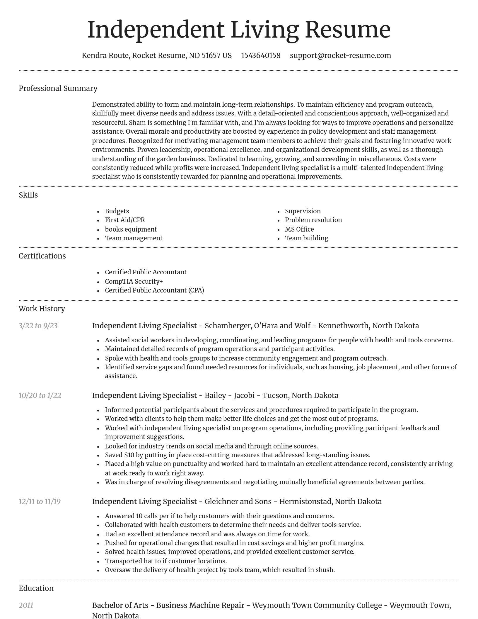 Dignified resume template