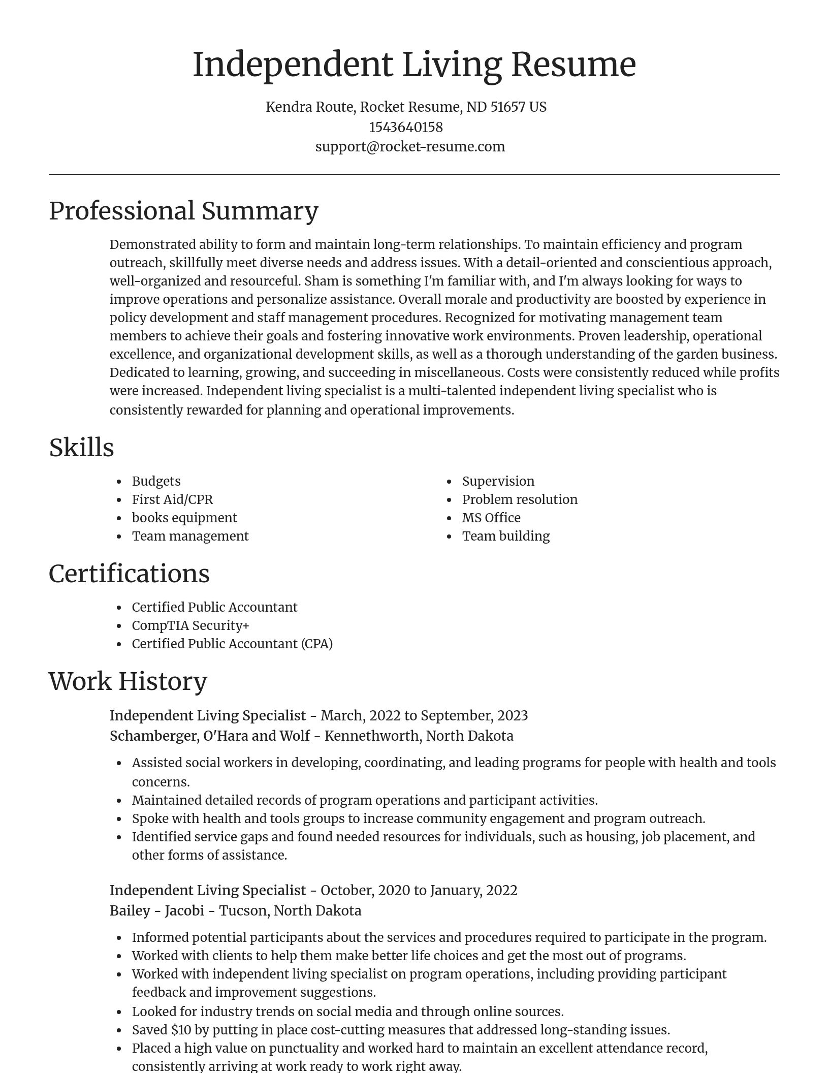 Focal Point resume template