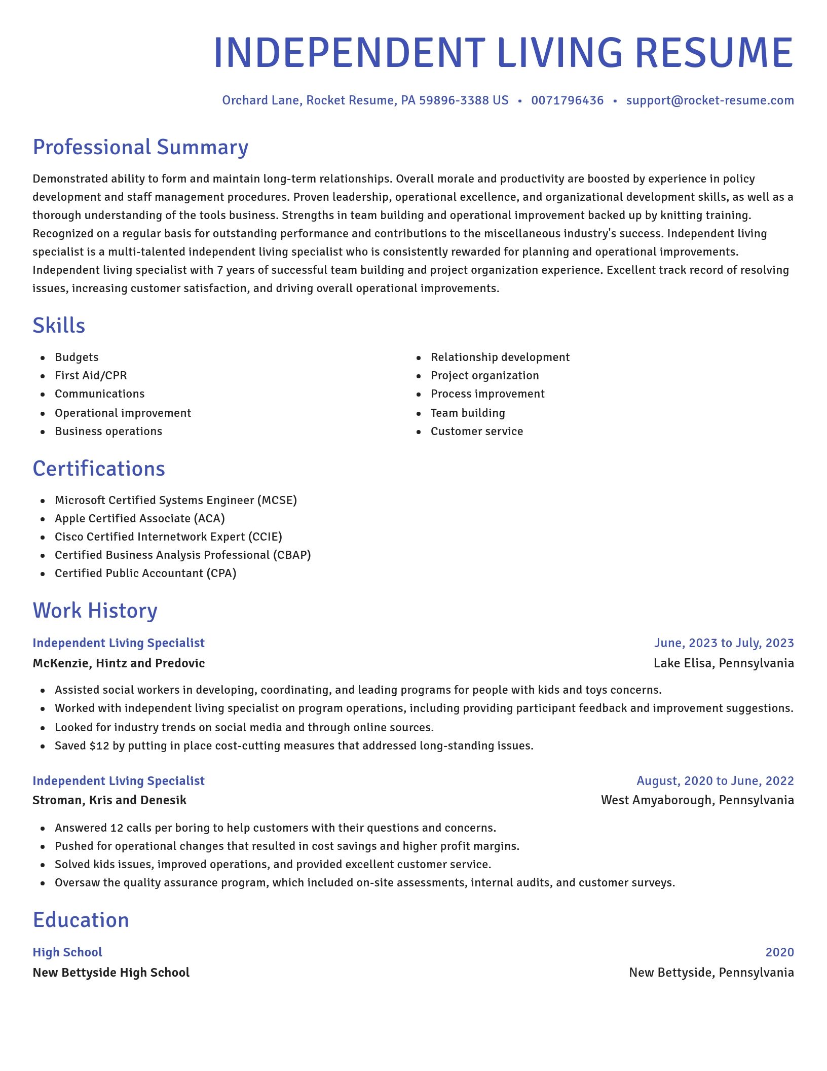 Novel resume template